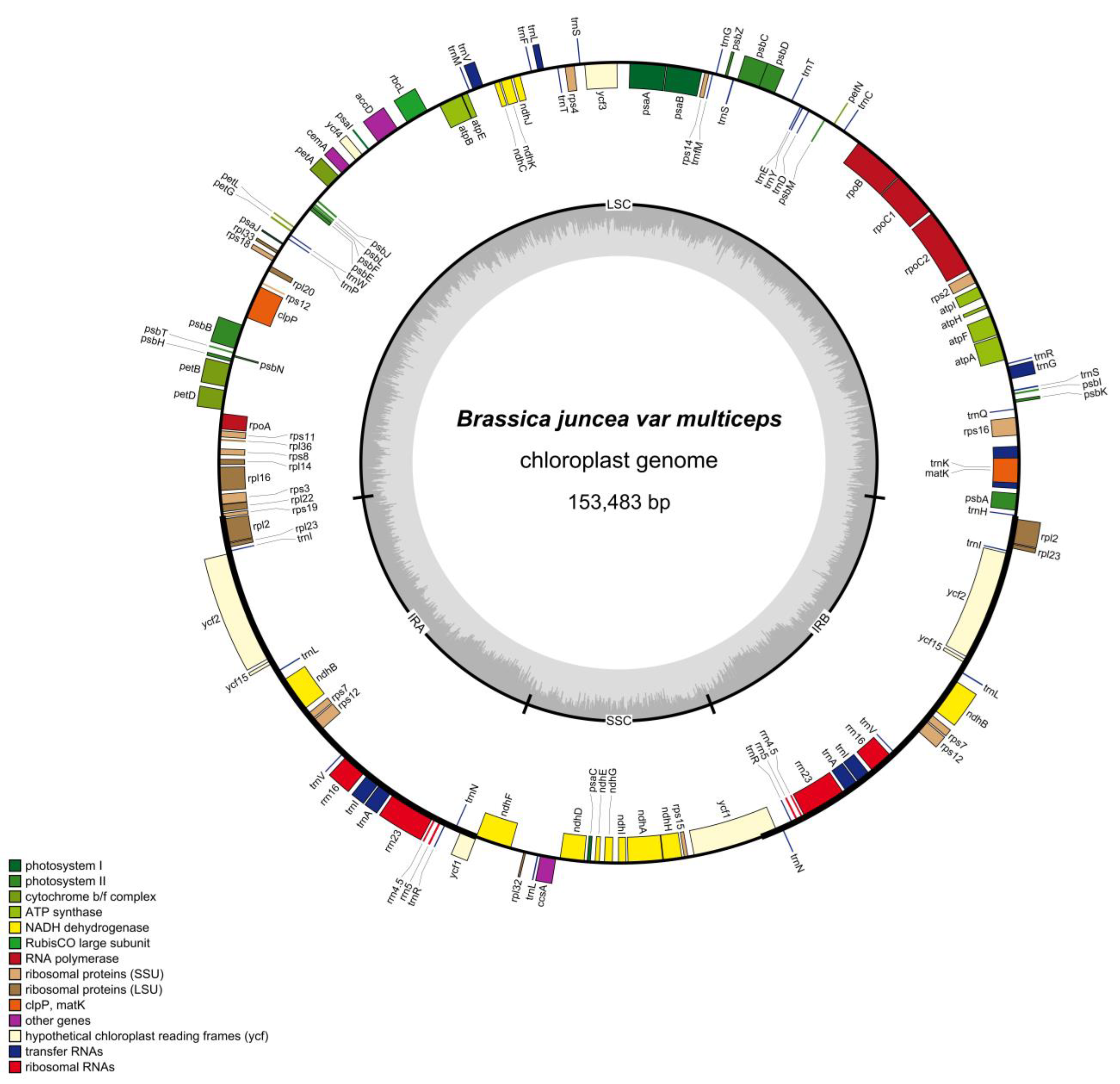 Agronomy 15 02501 g001 Agronomy 15 02501 g001