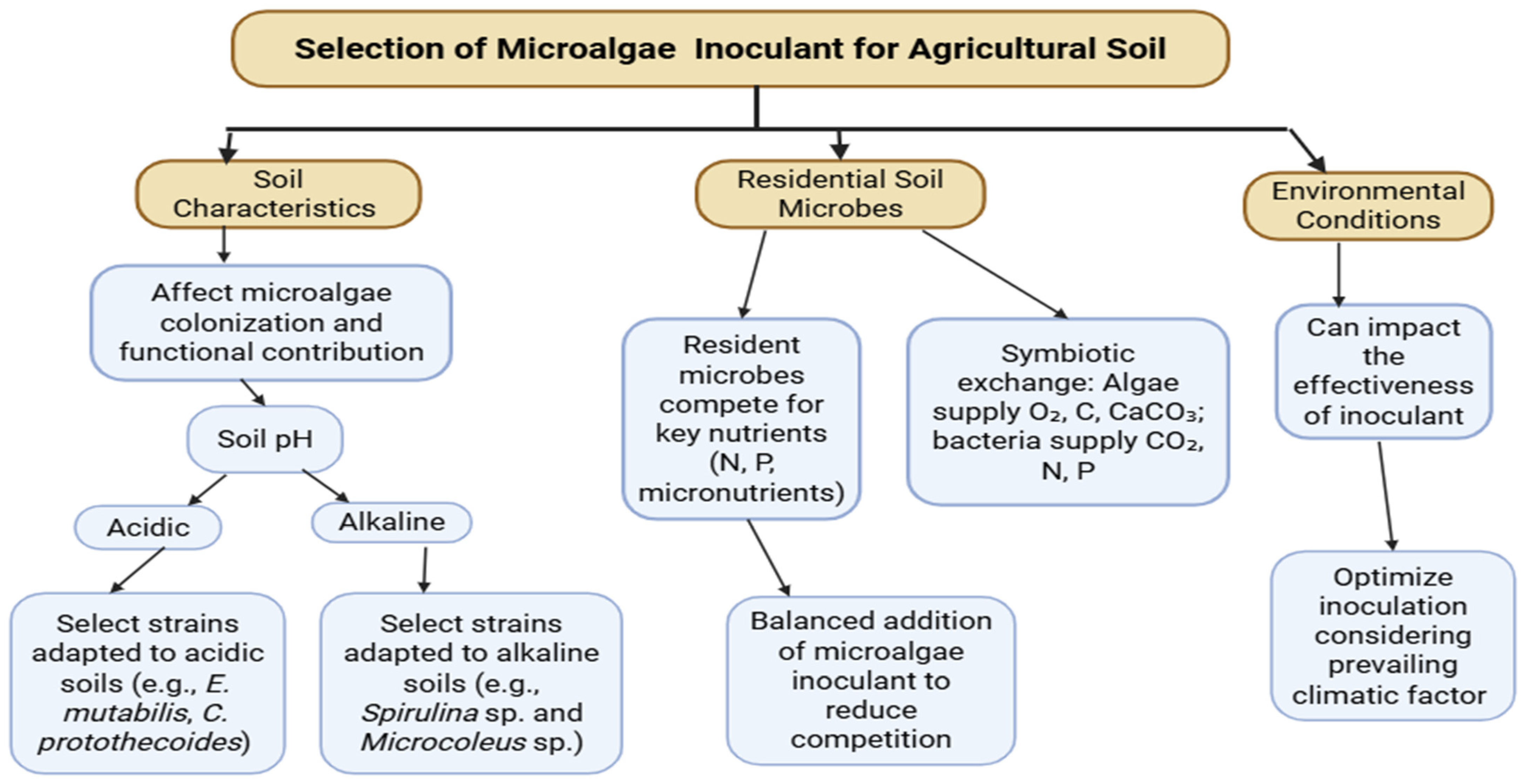 Agronomy 15 02669 g002 Agronomy 15 02669 g002
