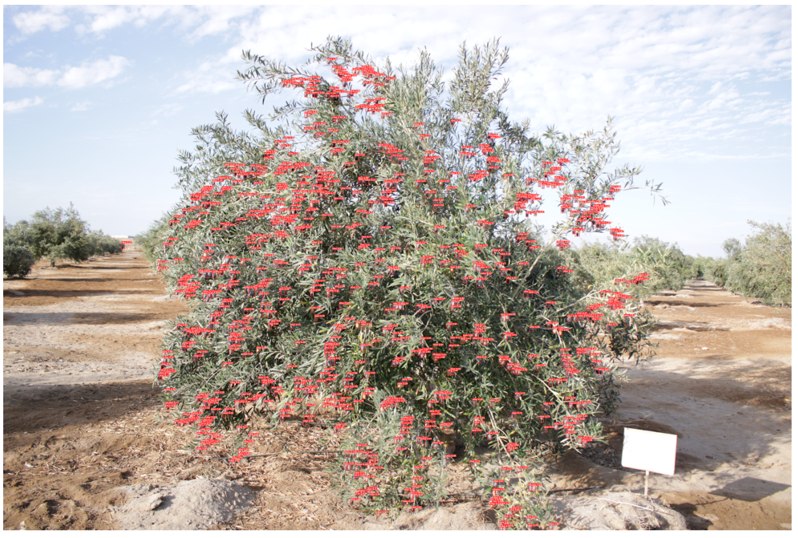 Ai 06 00025 g010 Ai 06 00025 g010