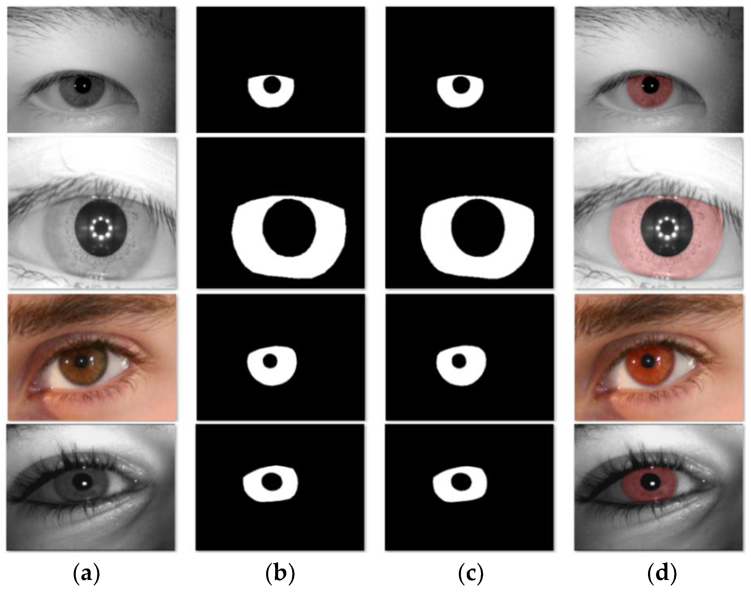Algorithms 14 00261 g011