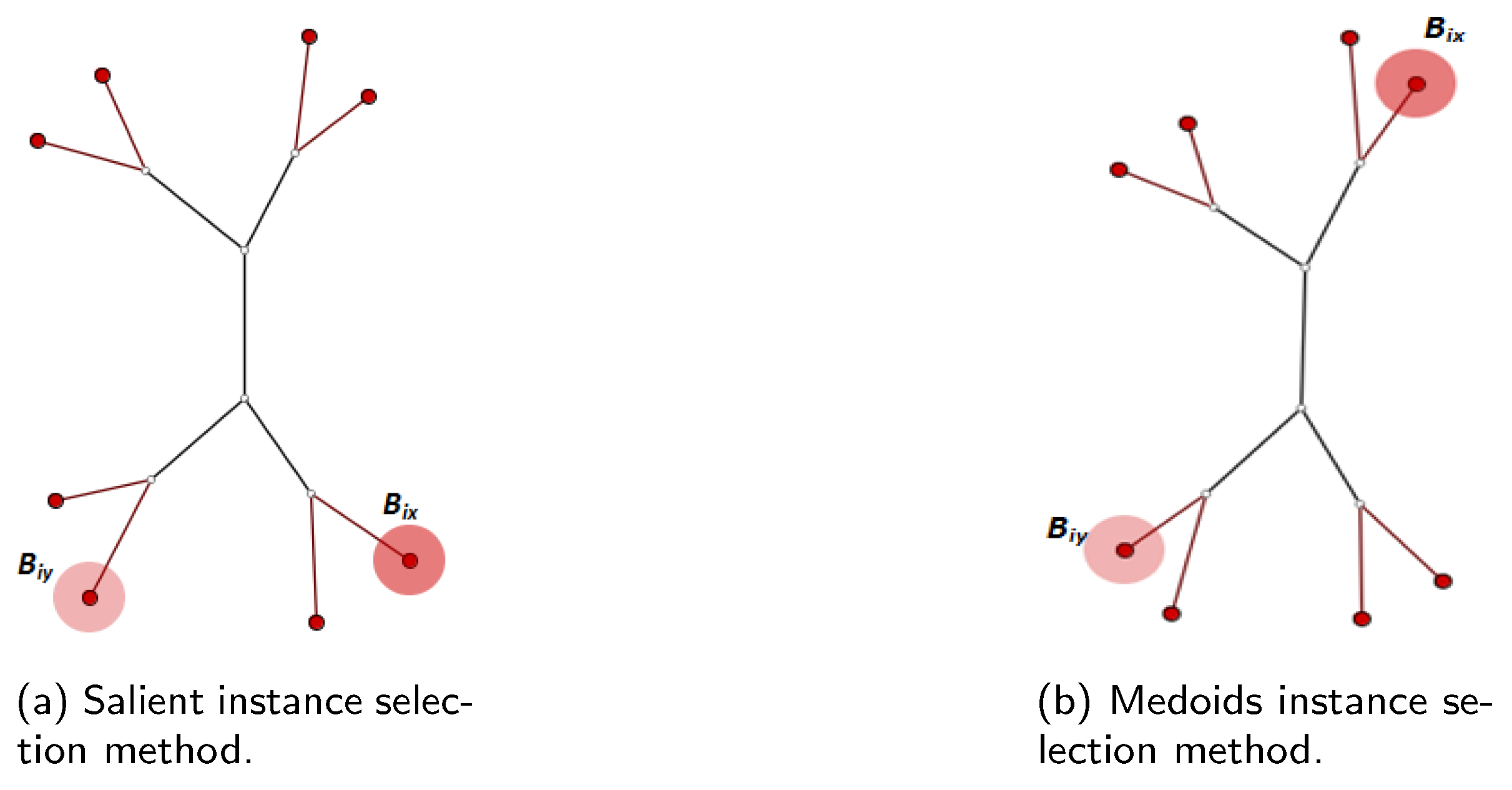 Algorithms 14 00344 g004