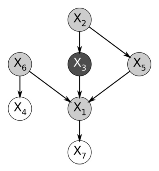 Algorithms | Free Full-Text | Analyzing Markov Boundary Discovery ...