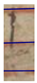 Algorithms 15 00221 i005