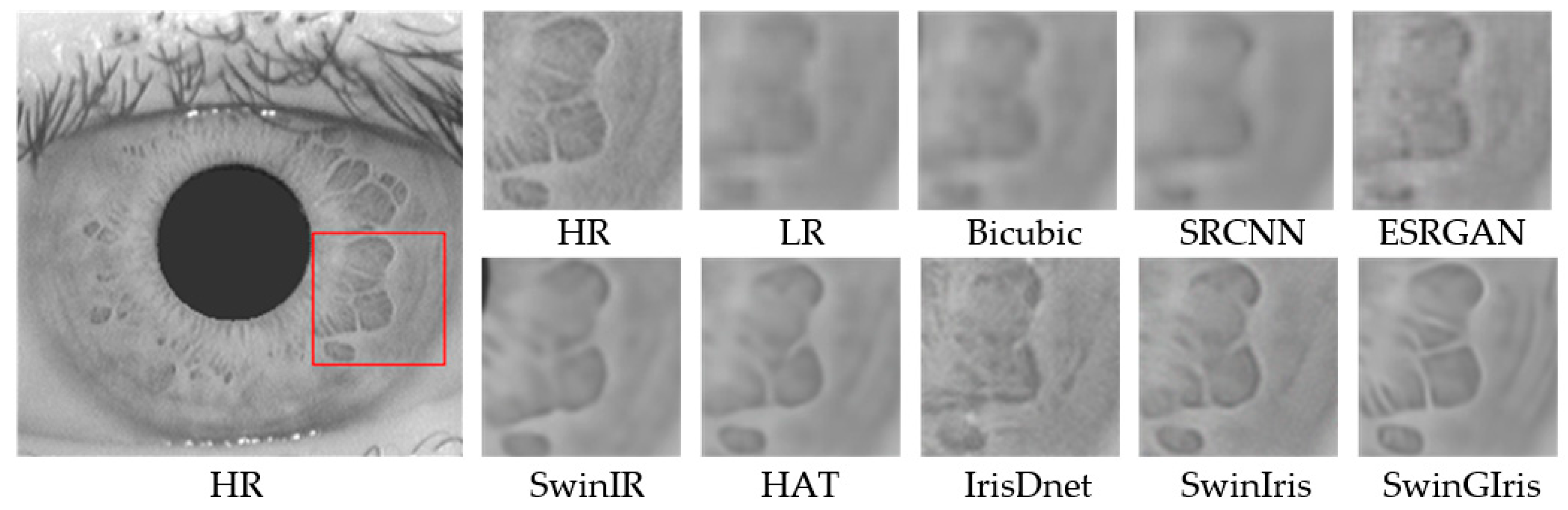 Algorithms 17 00092 g013