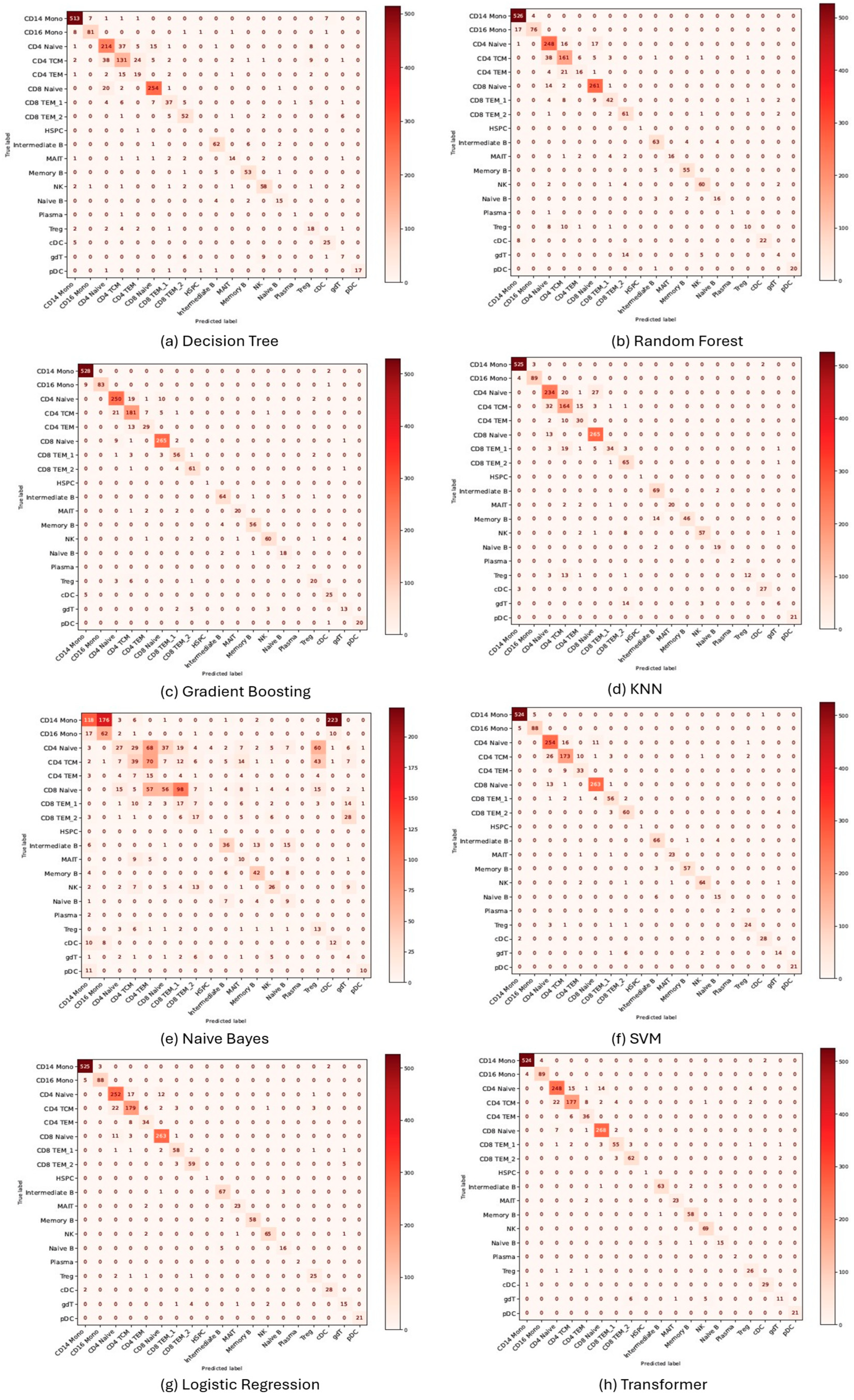 Algorithms 18 00232 g003