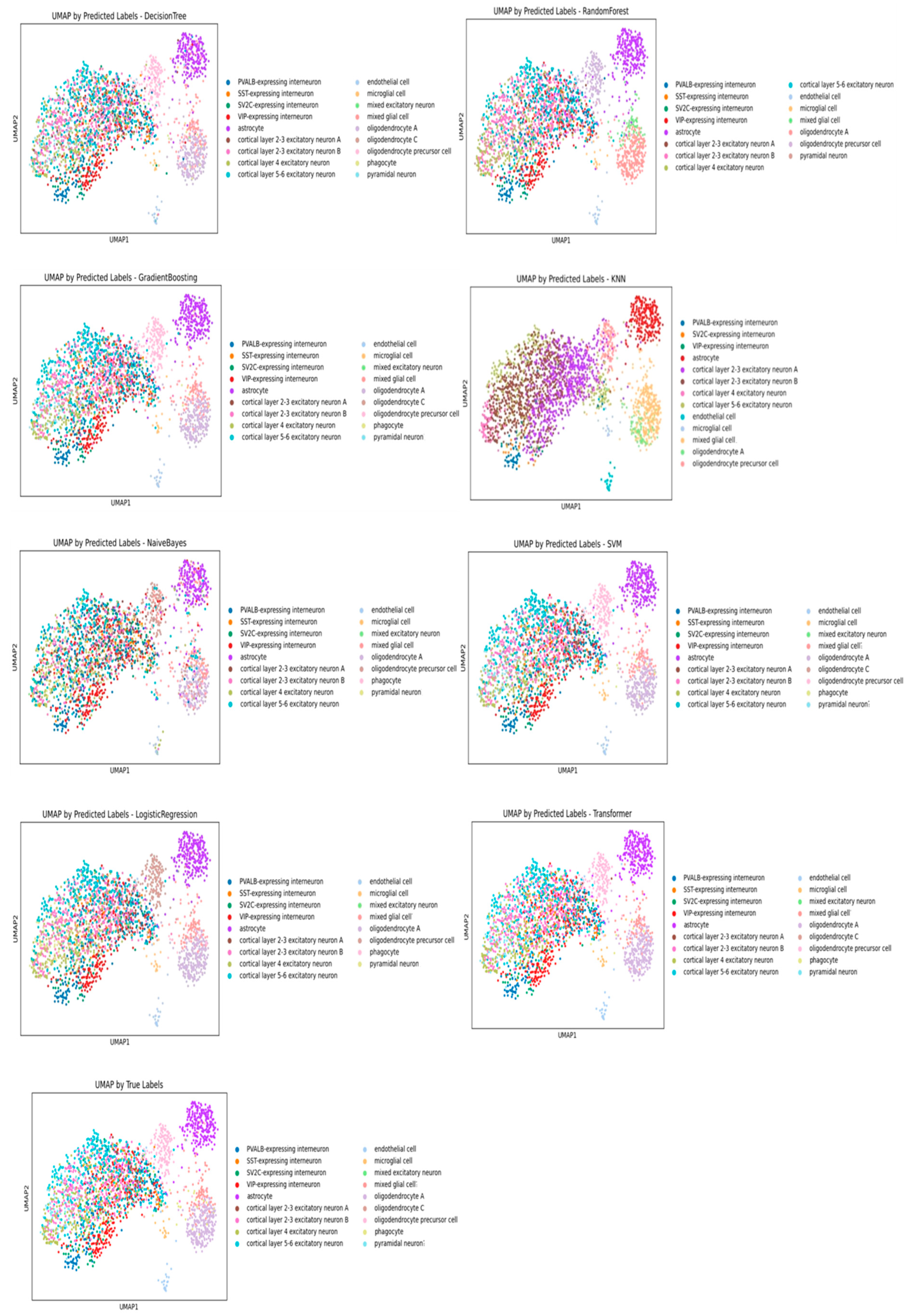 Algorithms 18 00232 g004