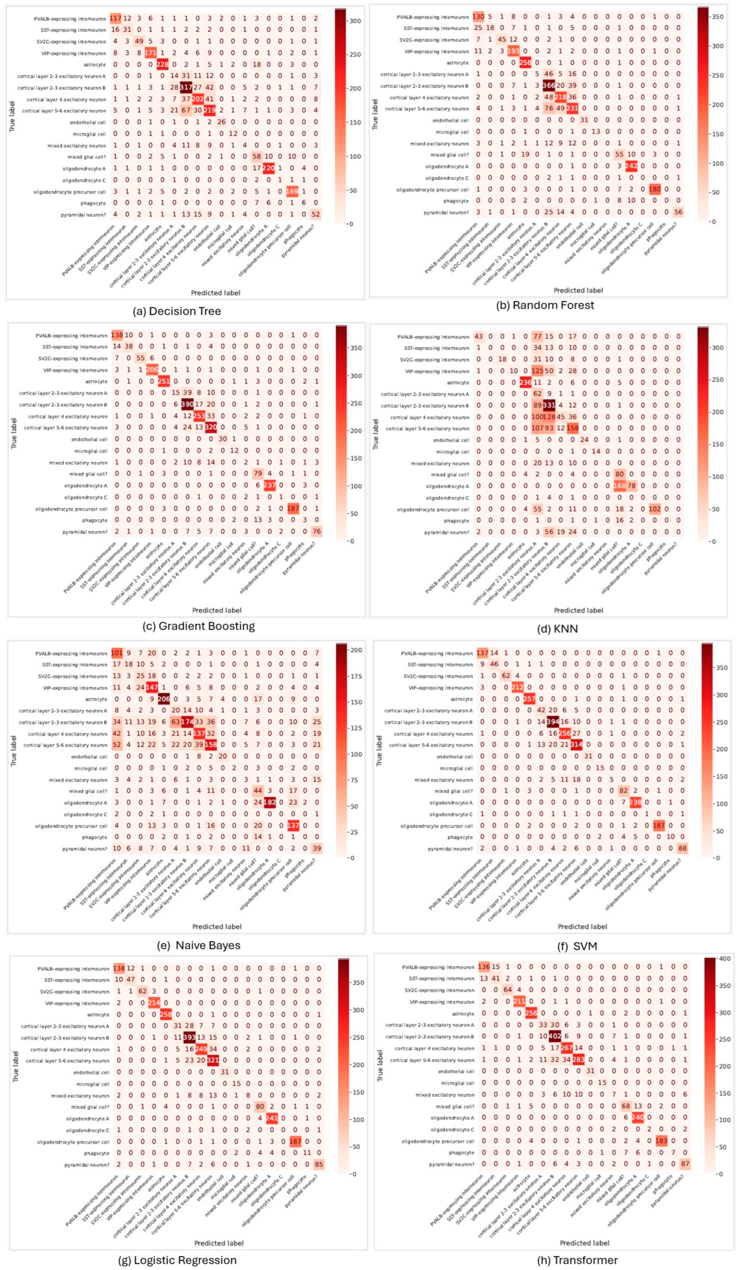 Algorithms 18 00232 g005