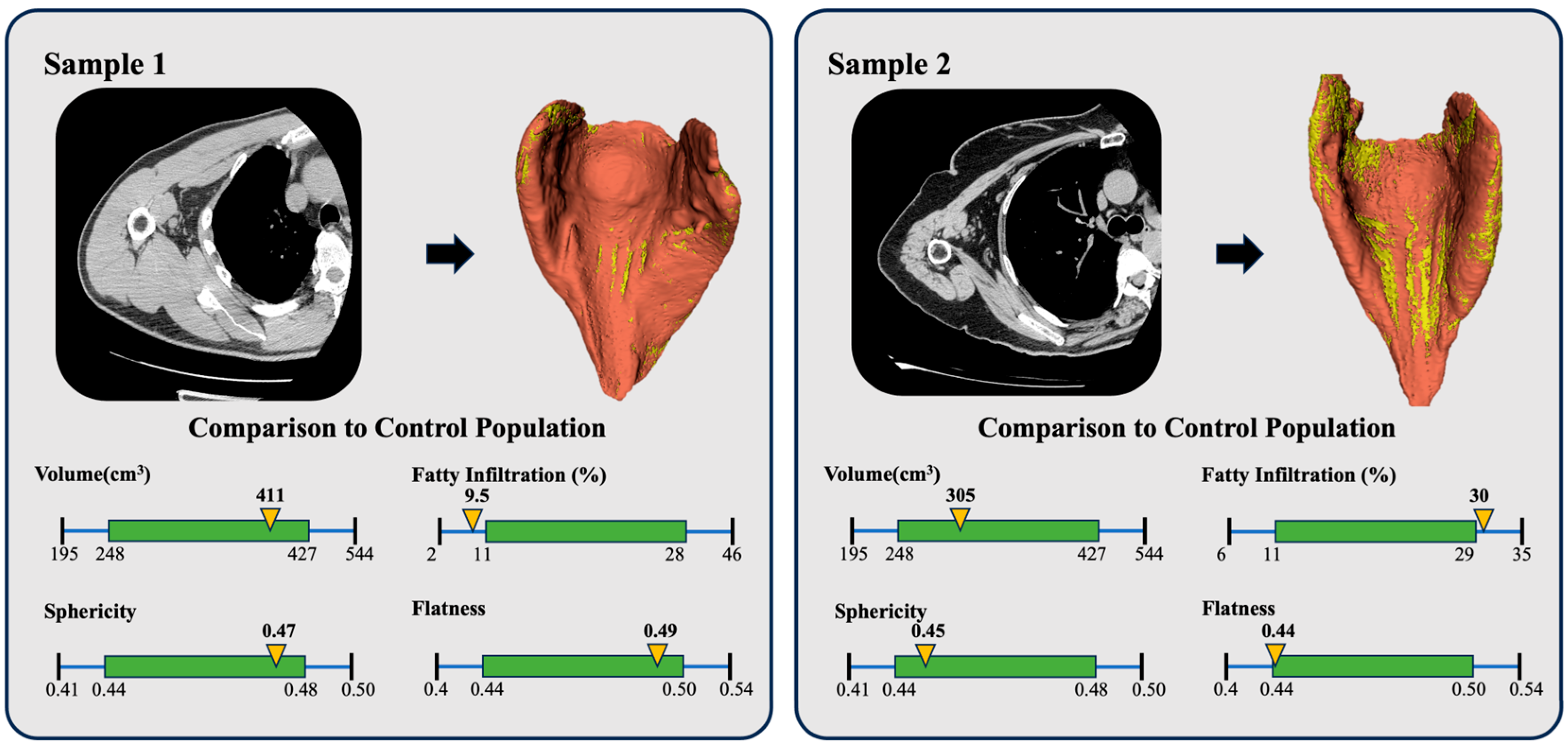 Algorithms 18 00432 g002