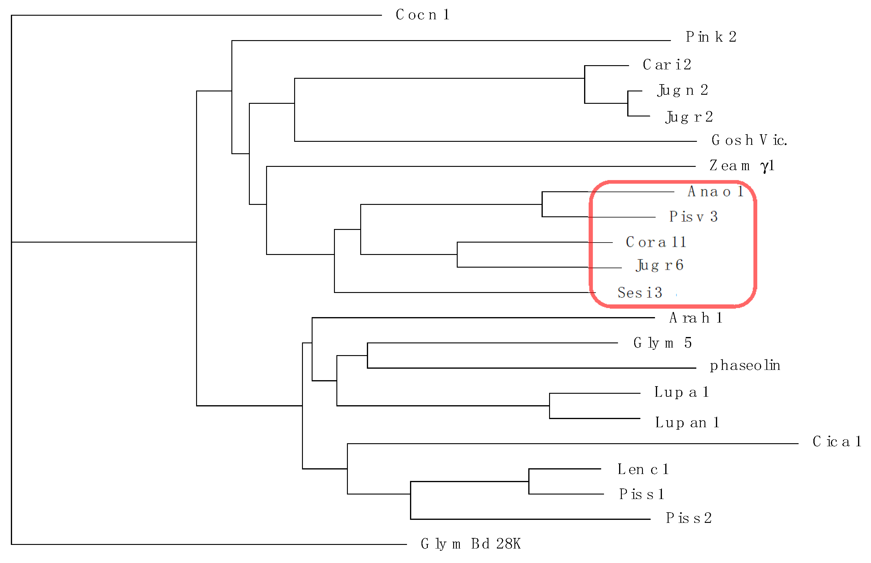 Allergies Free Full Text Ige Binding Epitopes Of Pis V 1 Pis V 2 And Pis V 3 The Pistachio Pistacia Vera Seed Allergens Html