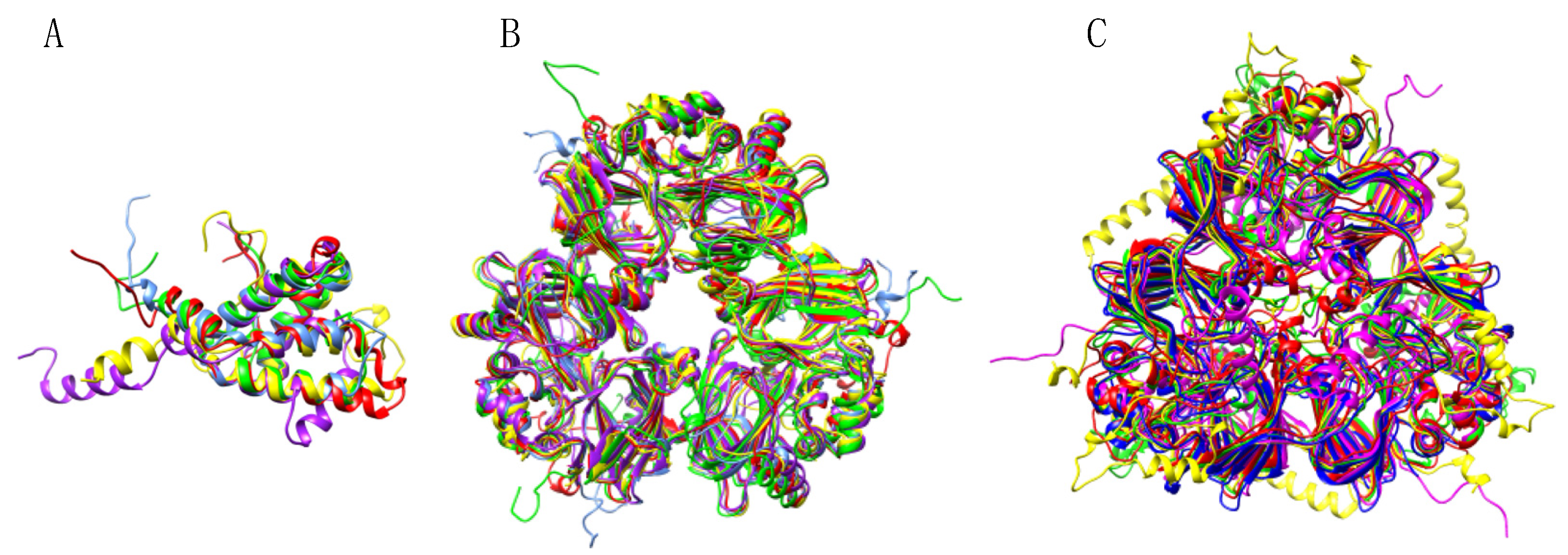 Allergies | Free Full-Text | IgE-Binding Epitopes of Pis v 1, Pis v 2 and  Pis v 3, the Pistachio (Pistacia vera) Seed Allergens | HTML
