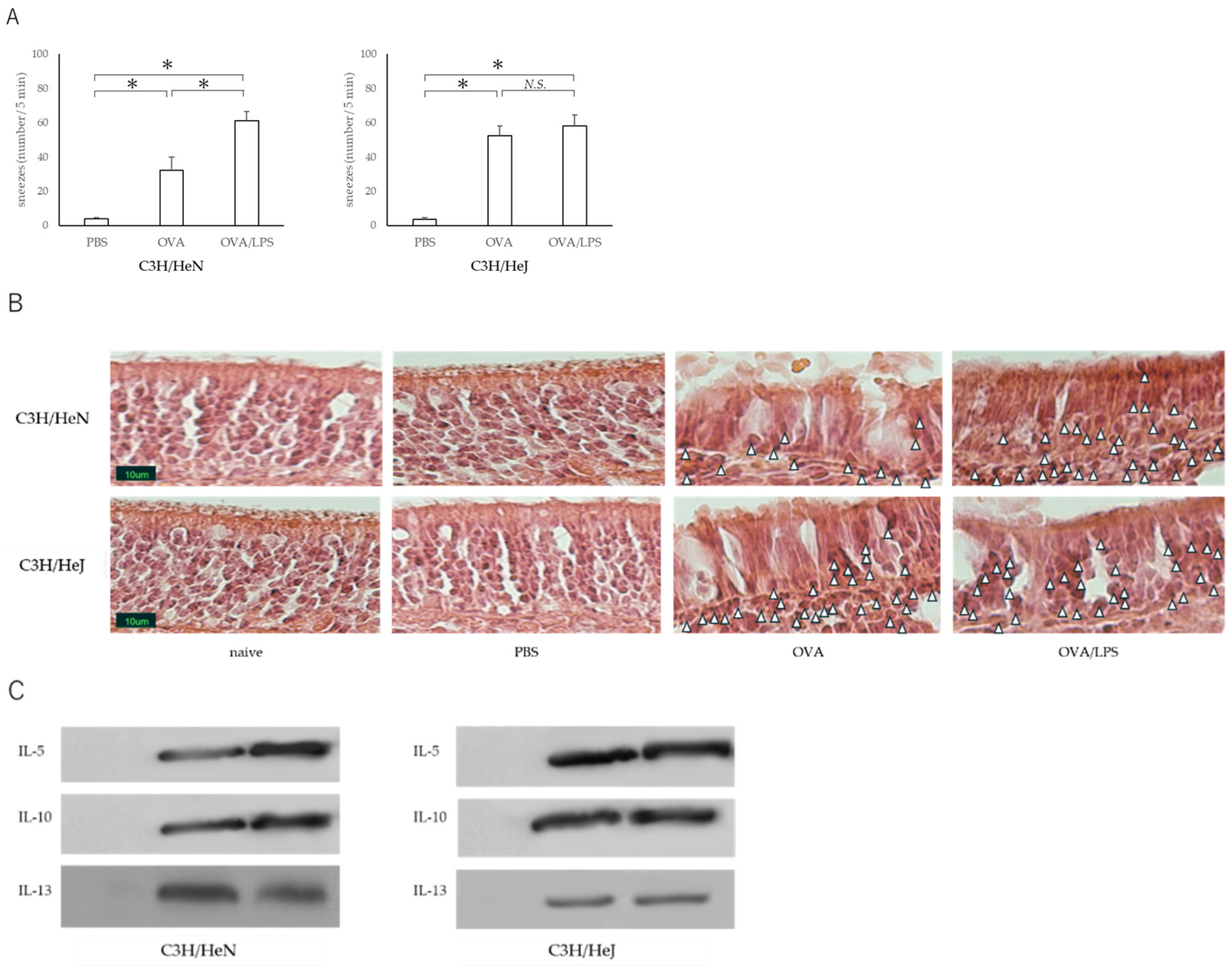 Allergies 01 00020 g002