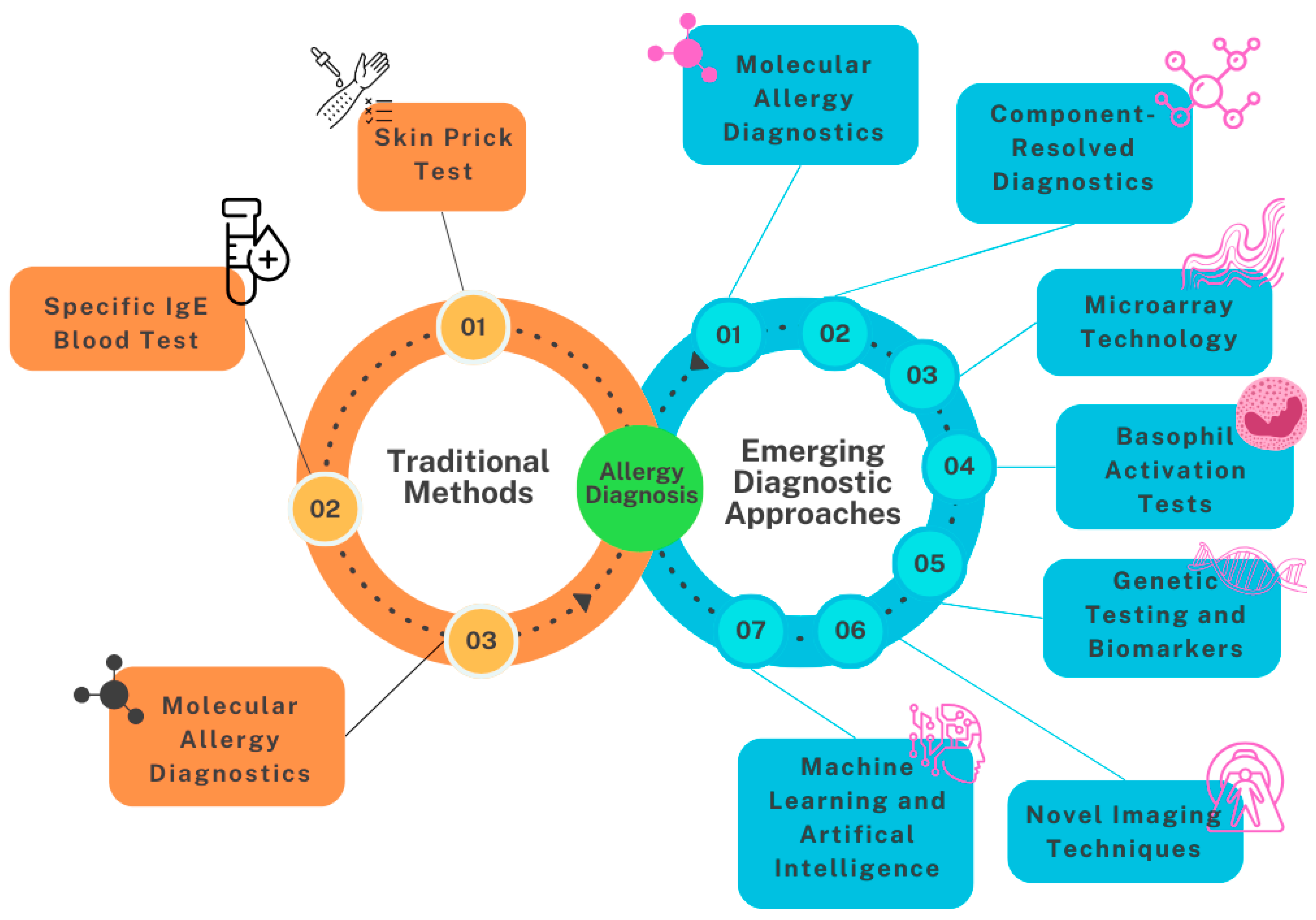 Allergies 05 00004 g002