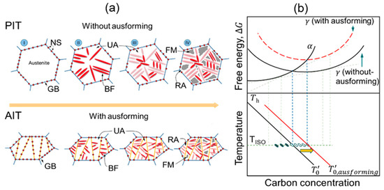 Alloys | Free Full-Text | Kinetic Model of Isothermal Bainitic  Transformation of Low Carbon Steels under Ausforming Conditions