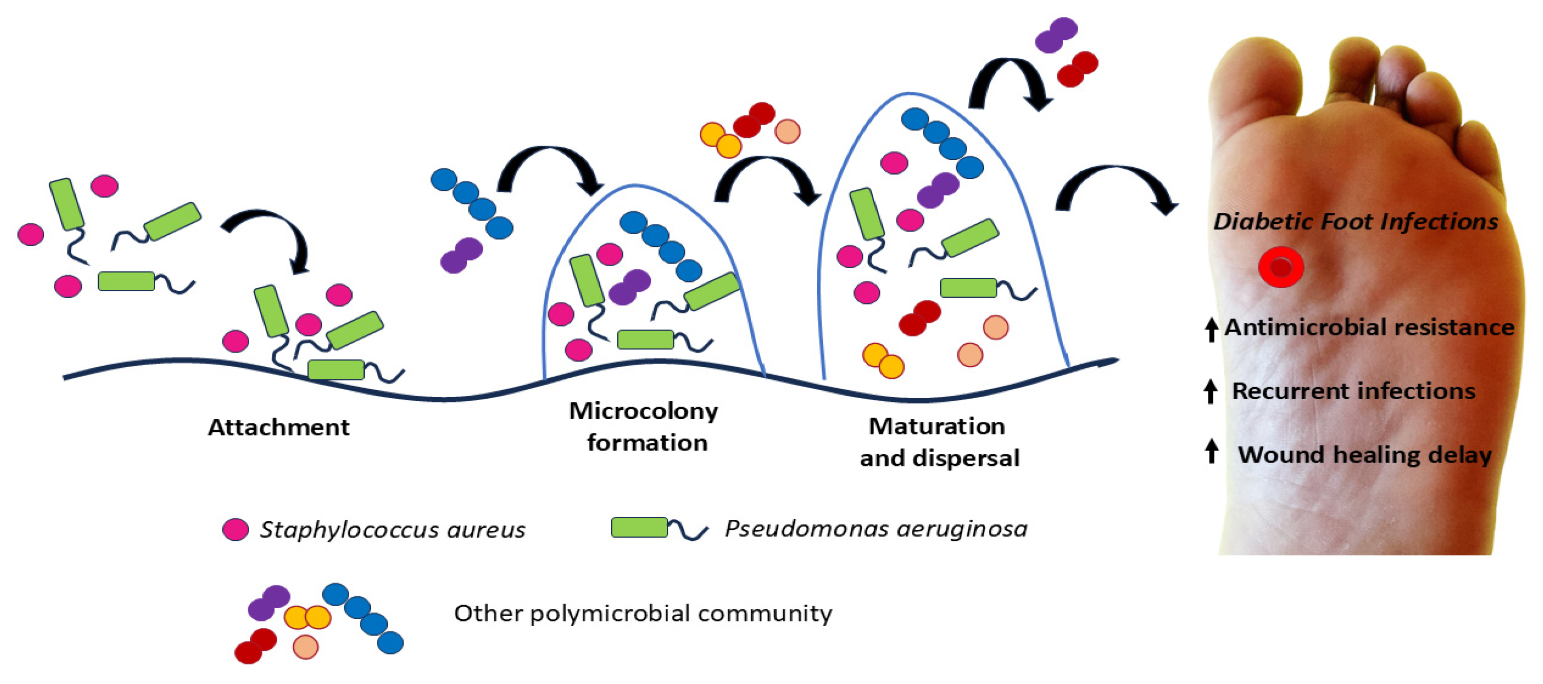 Amh 70 00009 g001 Amh 70 00009 g001