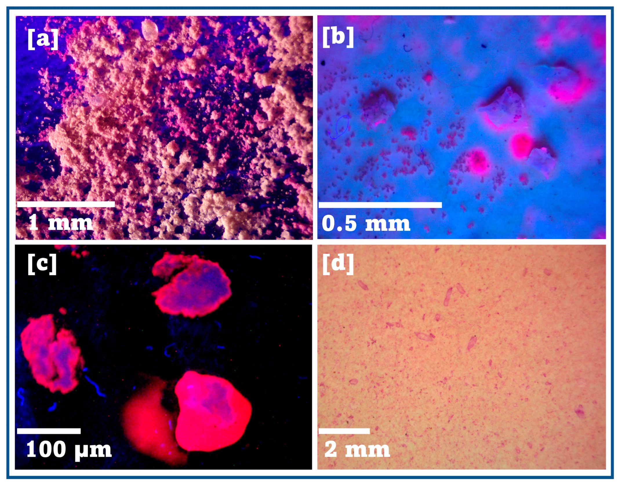 Analytica 04 00003 g006 Analytica 04 00003 g006