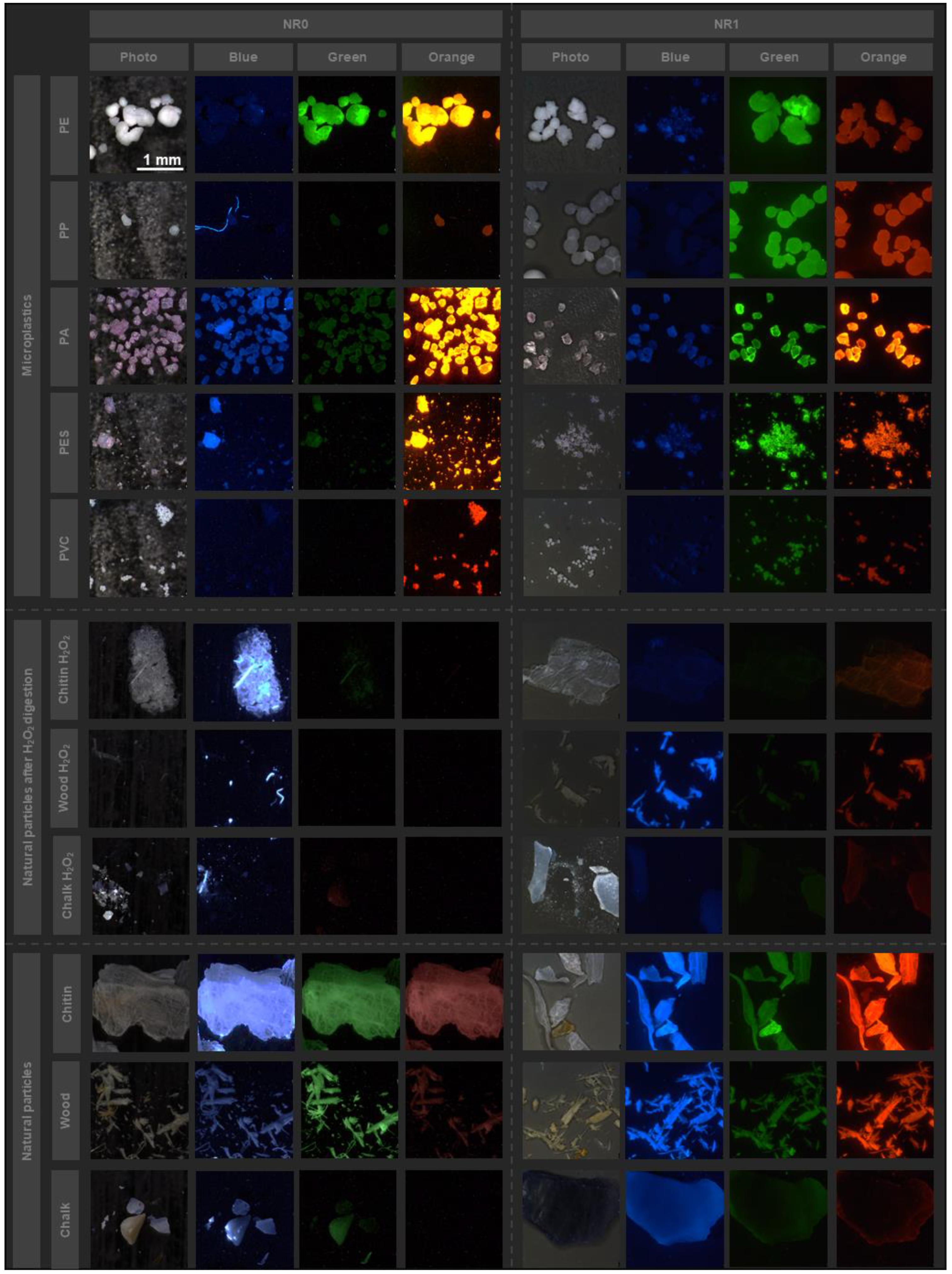 Middlesex University research shines a light on extent of nanoplastics shed  from tampons