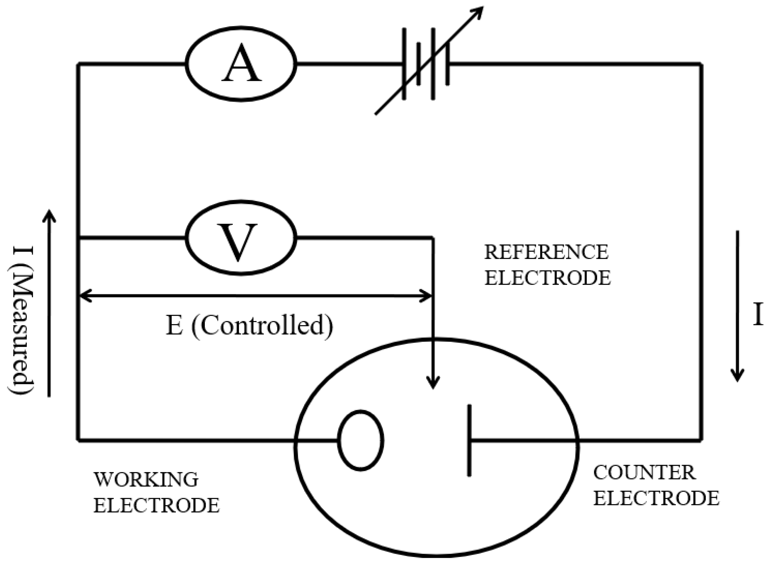 Analytica 06 00012 g001
