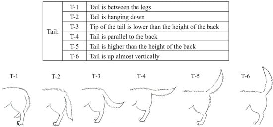 Animals 04 00045 g004 550