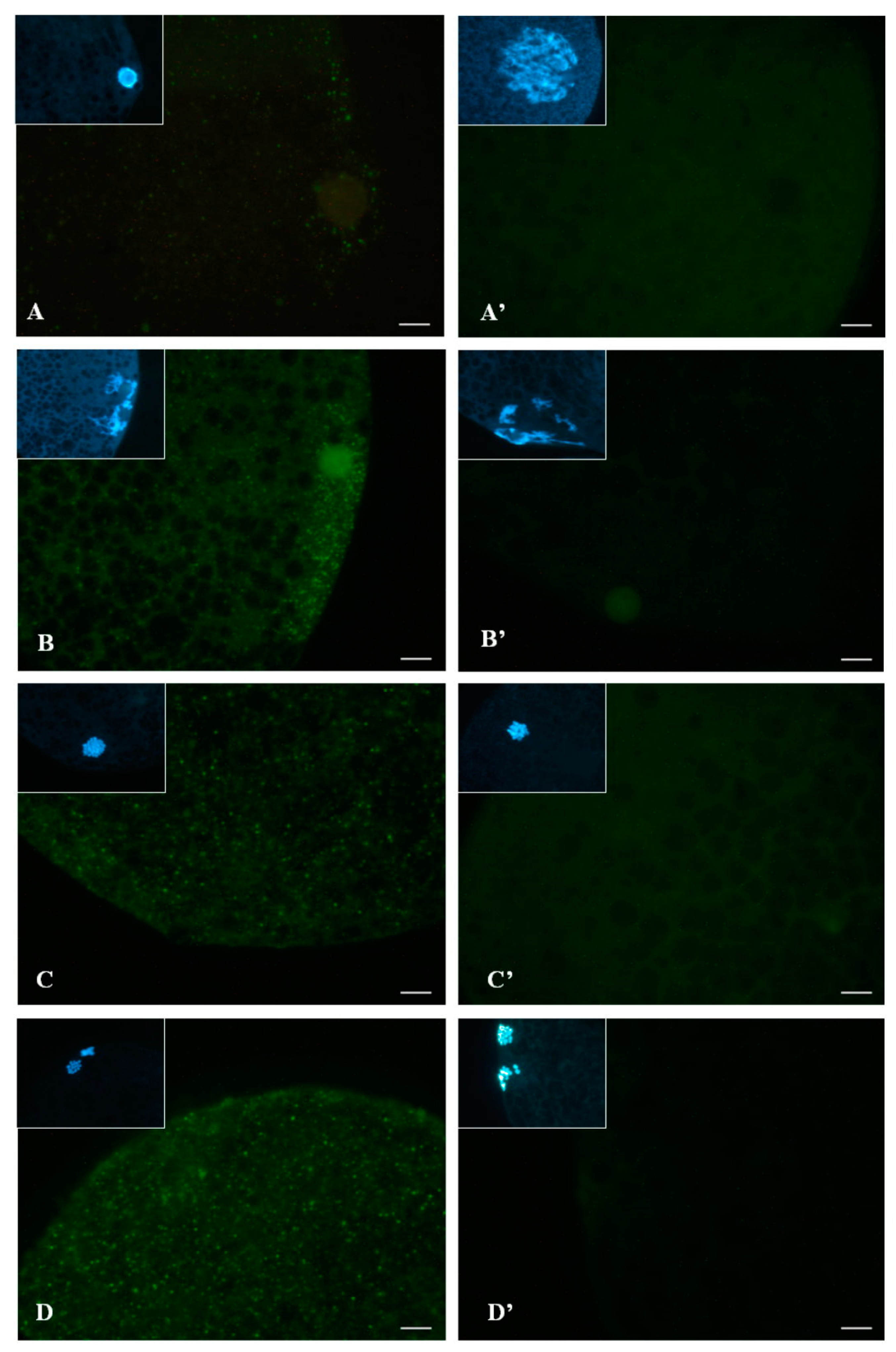 Animals 09 00163 g004