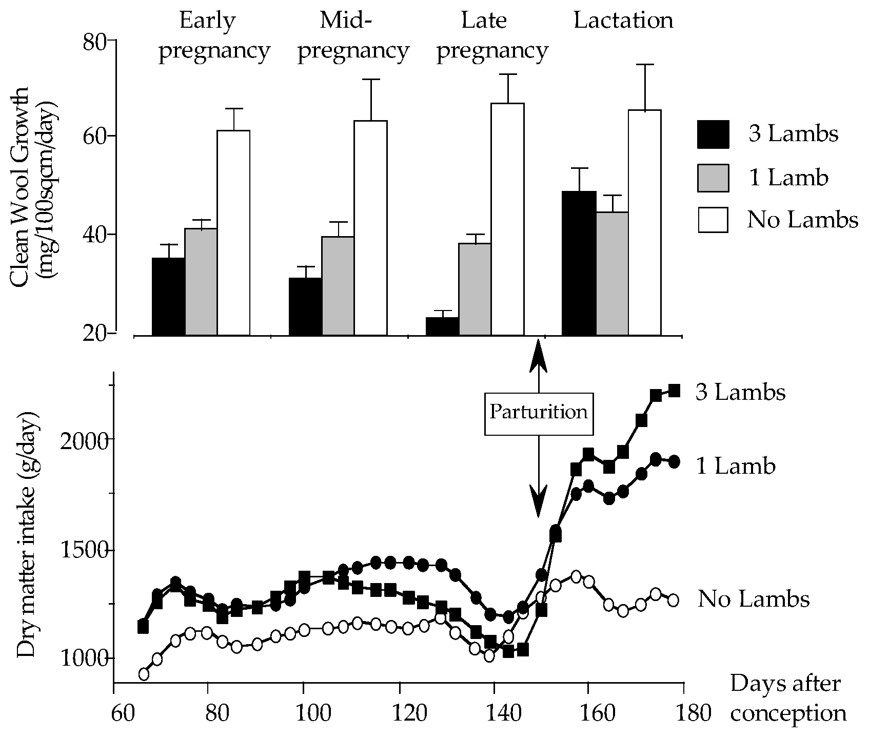 Anemaile Sex Girl 3gpking - Animals | Free Full-Text | Pregnancy and Litter Size, But Not Lamb Sex,  Affect Feed Intake and Wool Production by Merino-Type Ewes