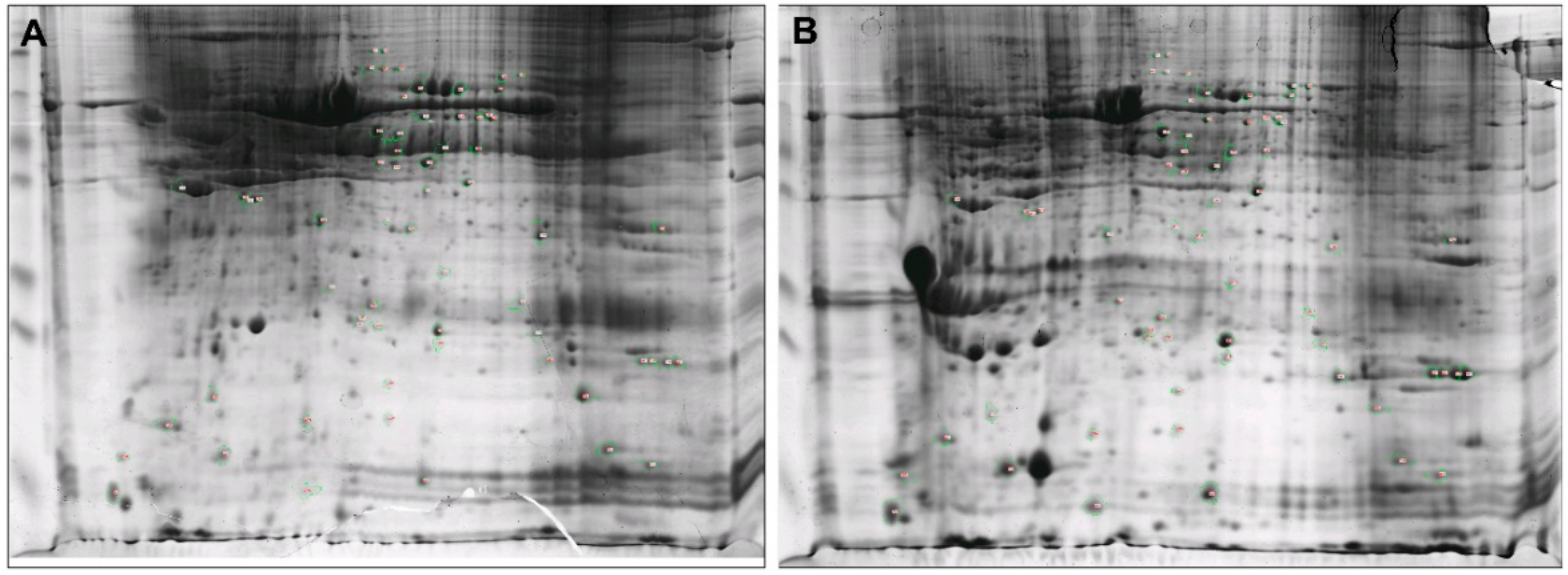 Animals 09 00309 g002 Animals 09 00309 g002