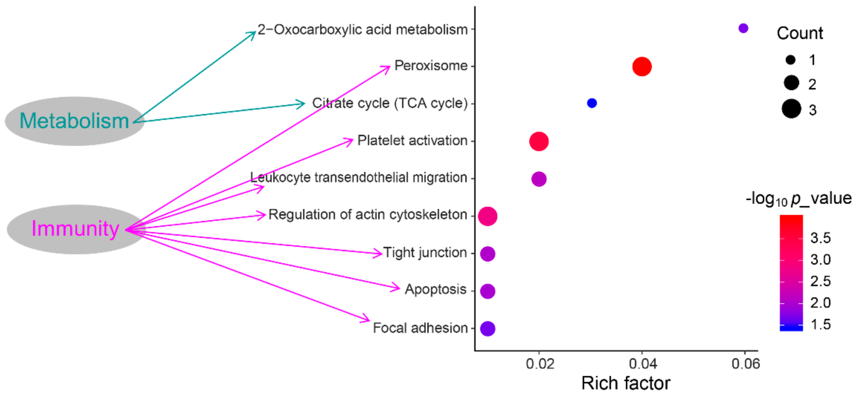 Animals 09 00309 g004 Animals 09 00309 g004