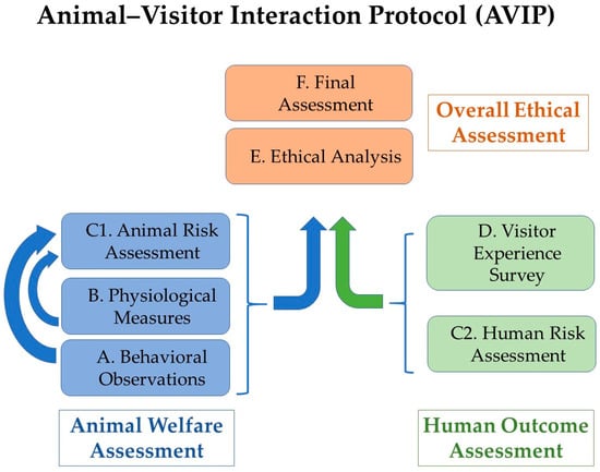 Animal Habitat & Visitor Experience - Design & Construction