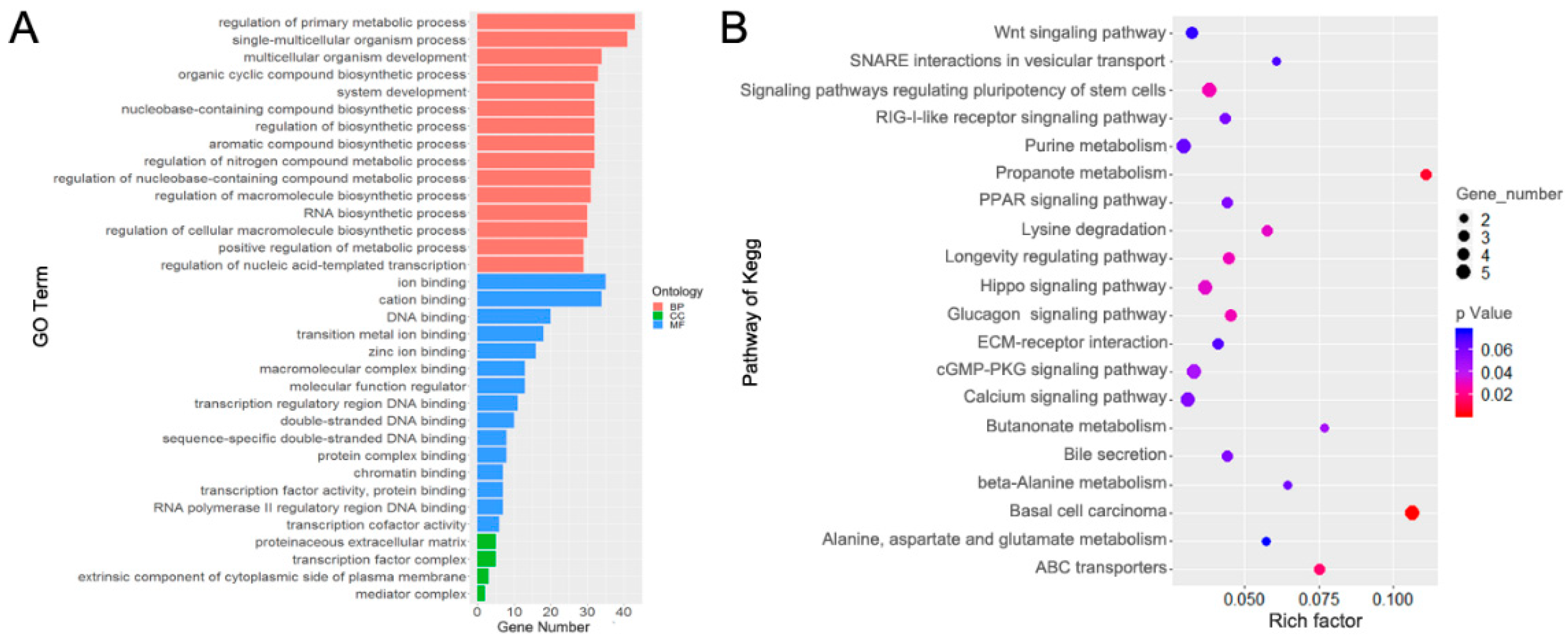 Animals 09 00496 g005