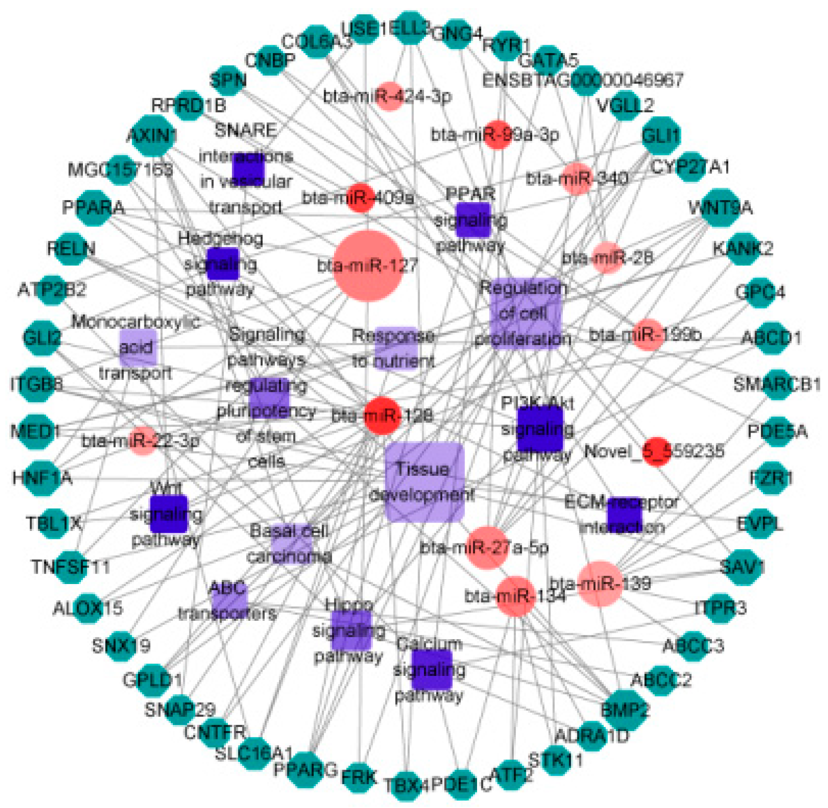 Animals 09 00496 g006