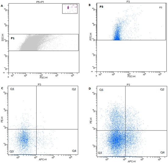 Animals | Free Full-Text | Extracellular Vesicles in the Blood of Dogs ...