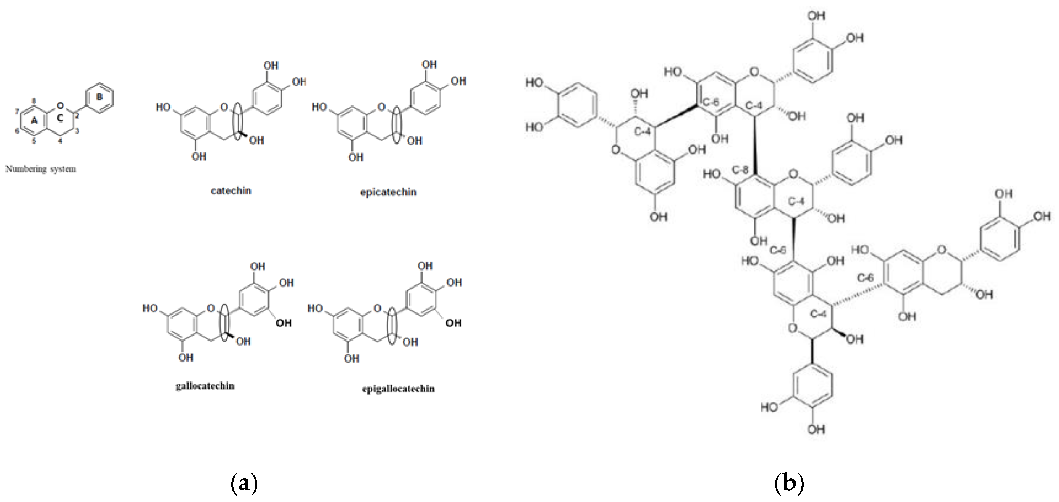Animals 09 00856 g001