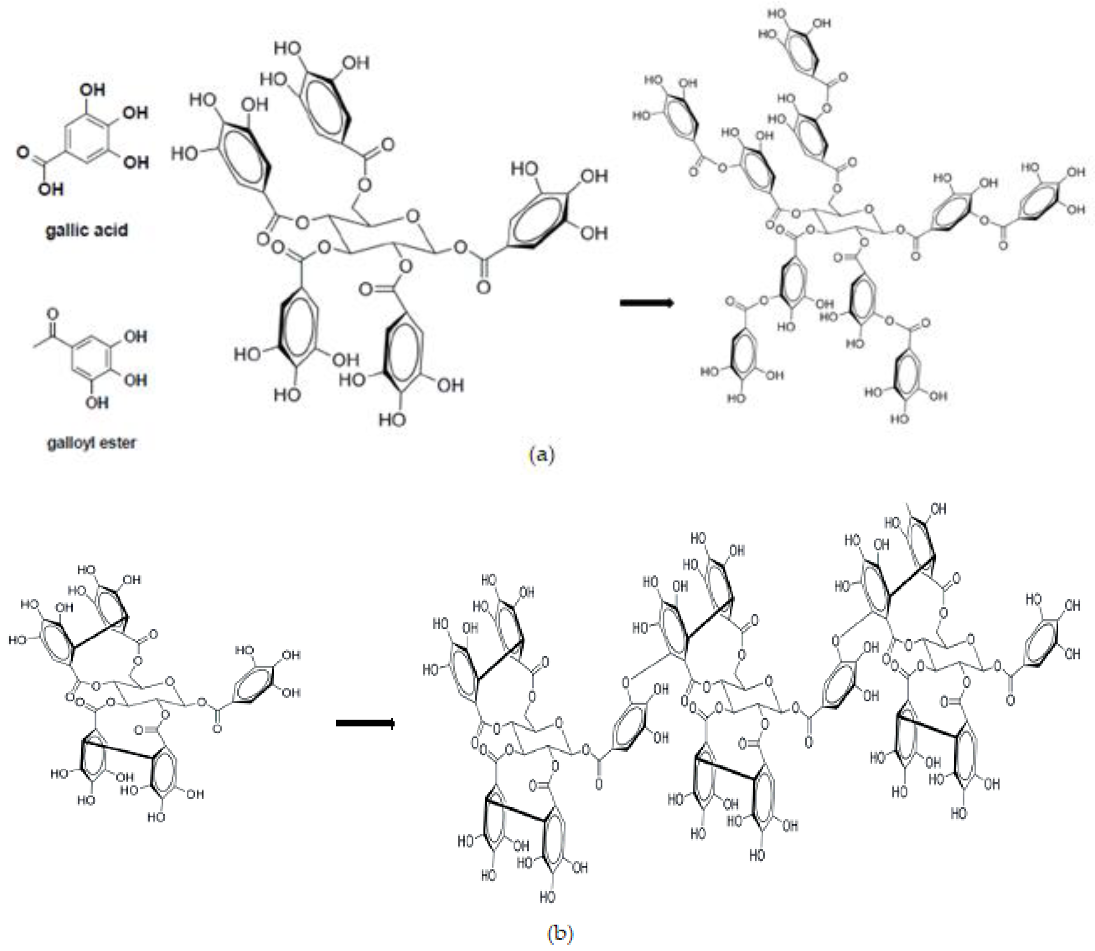 Animals 09 00856 g002