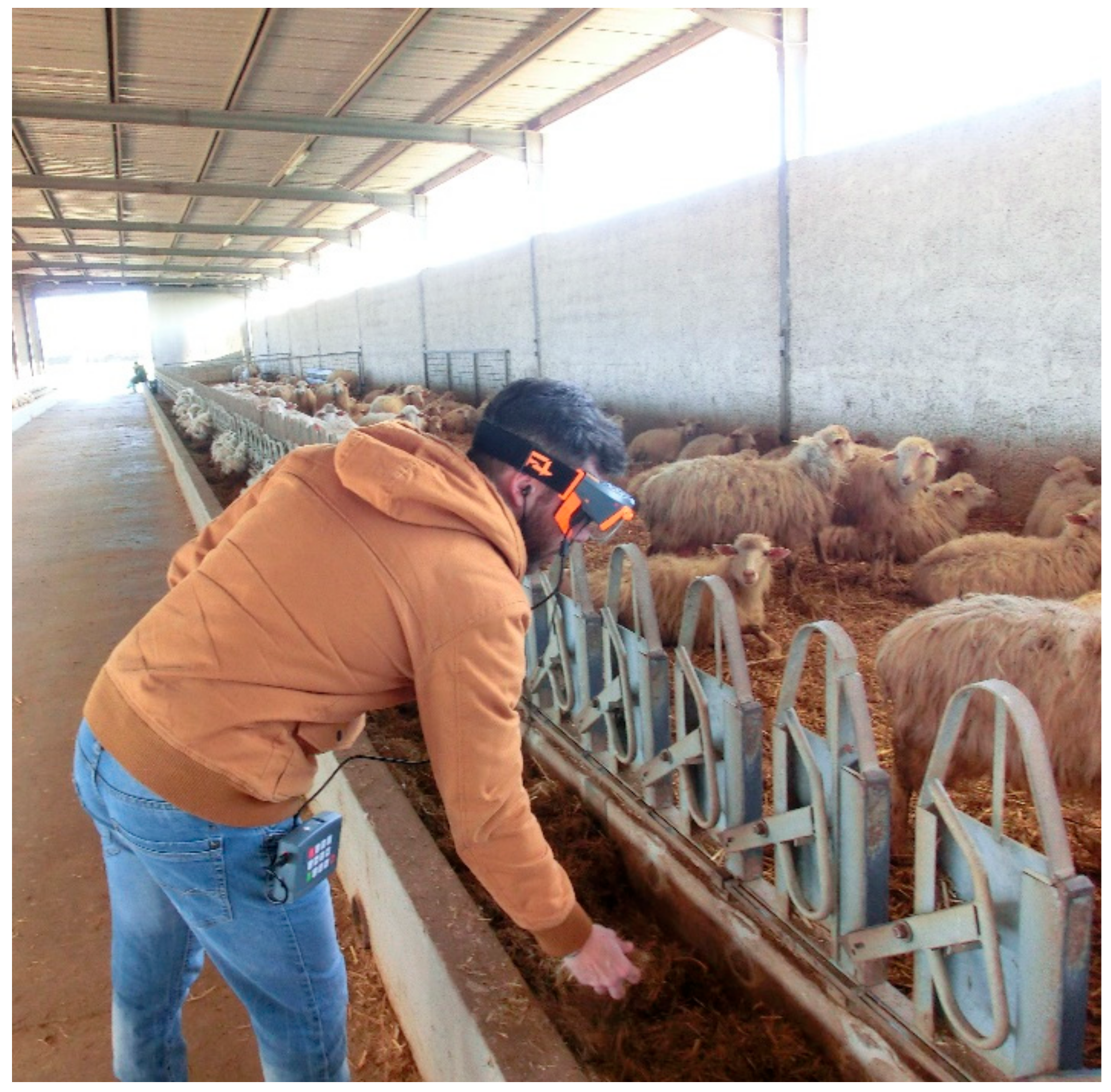 Animals 09 00903 g003