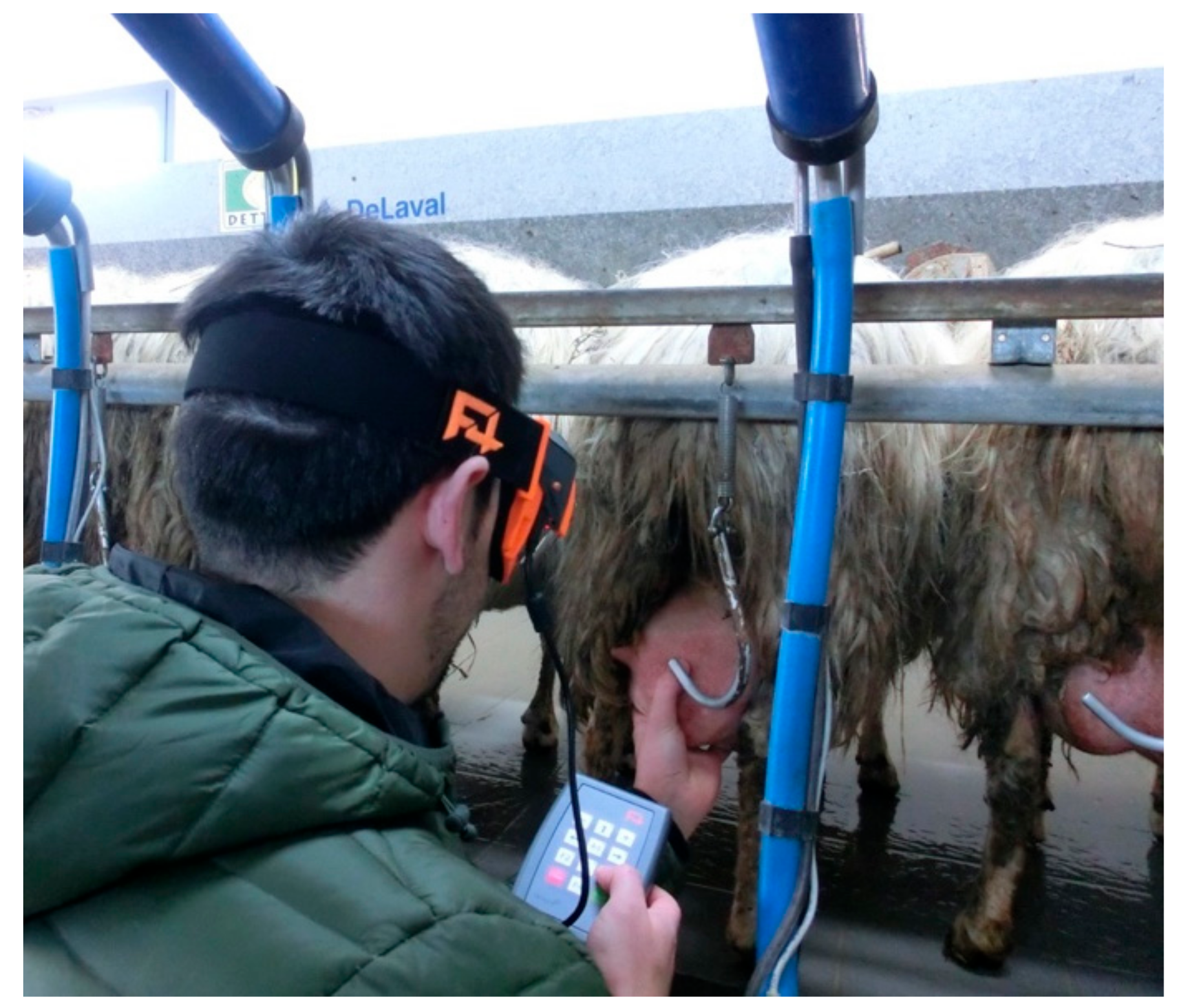 Animals 09 00903 g009