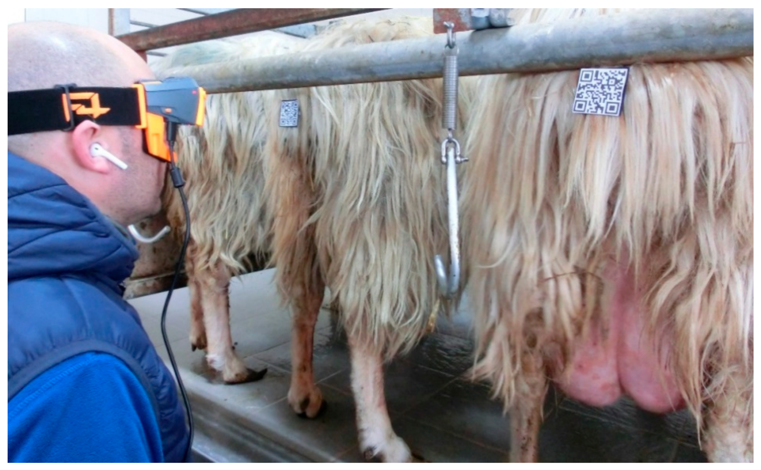 Animals 09 00903 g010