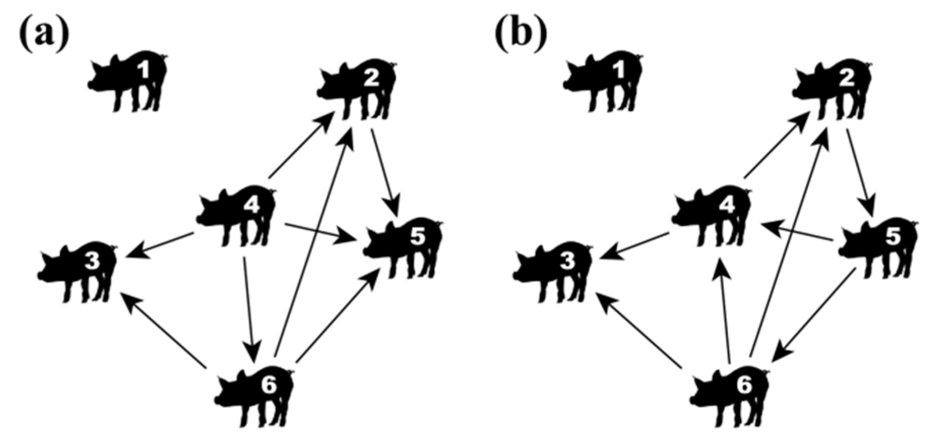 what is the function of the dominance hierarchy within a group of animals