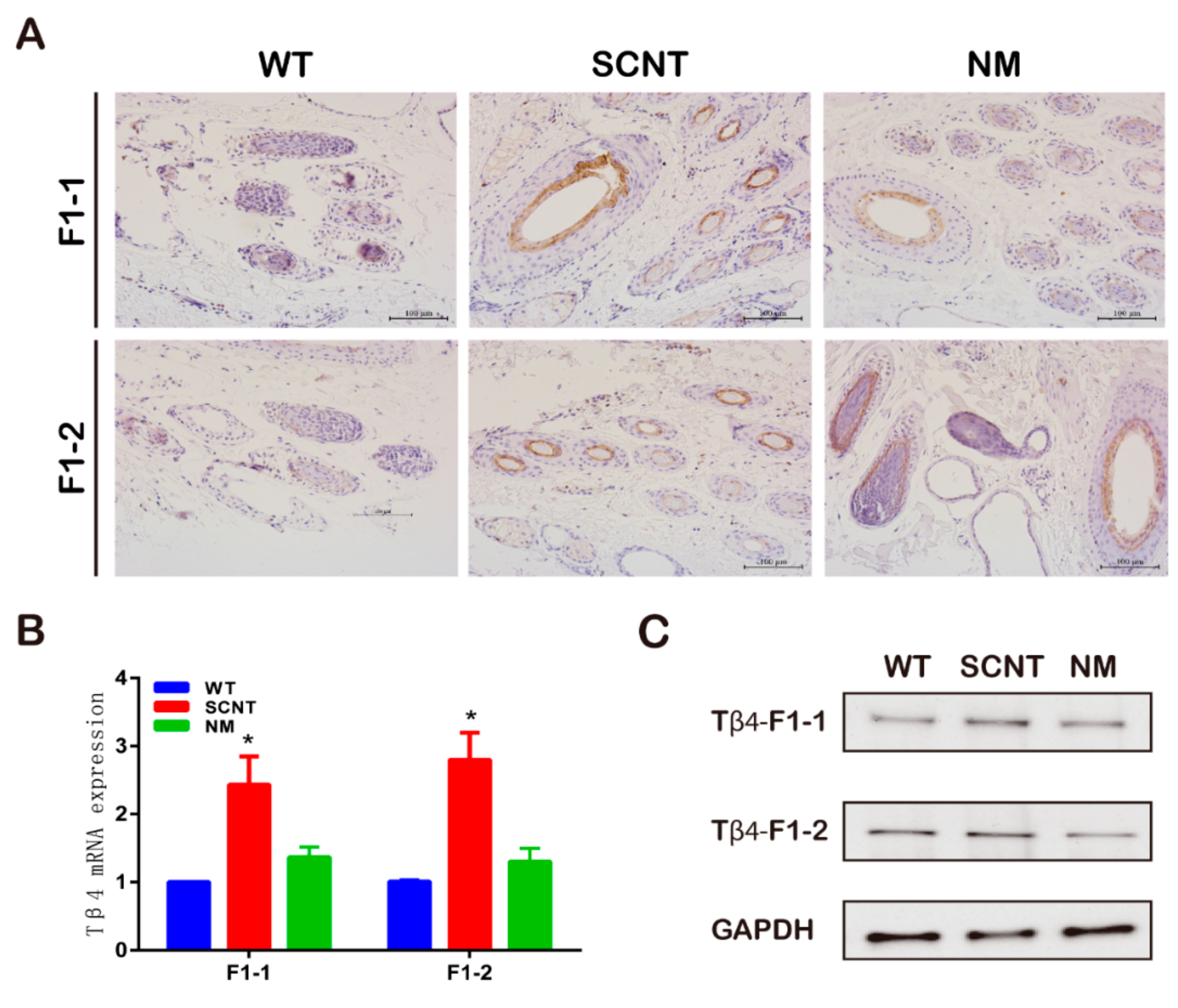 Animals 09 01002 g002 Animals 09 01002 g002