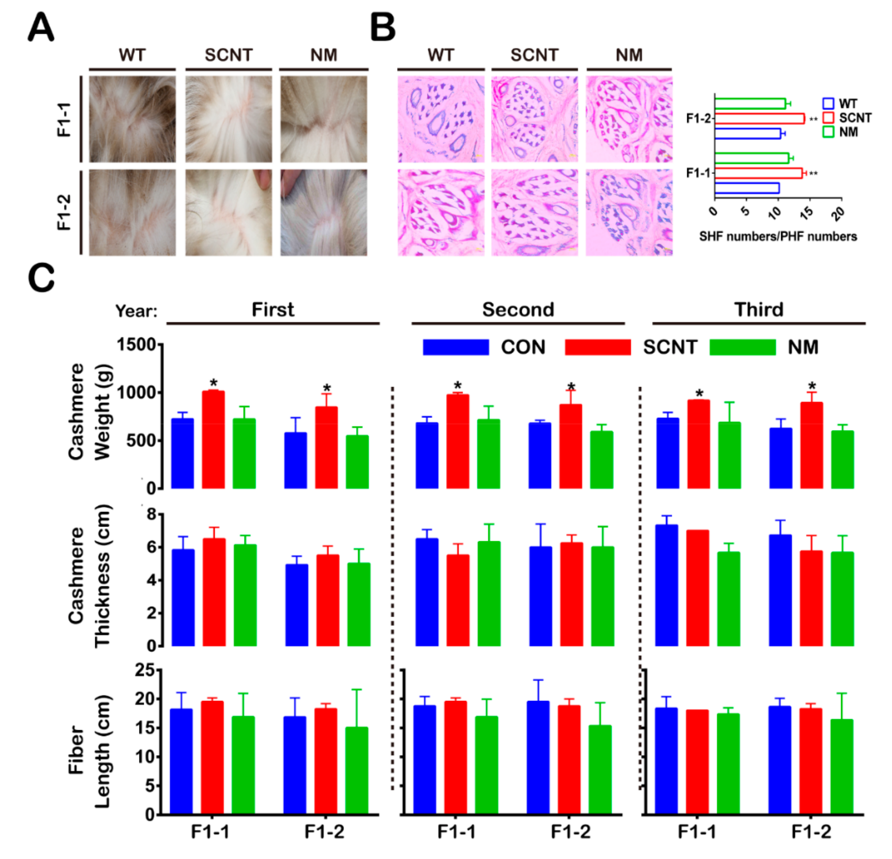 Animals 09 01002 g003 Animals 09 01002 g003