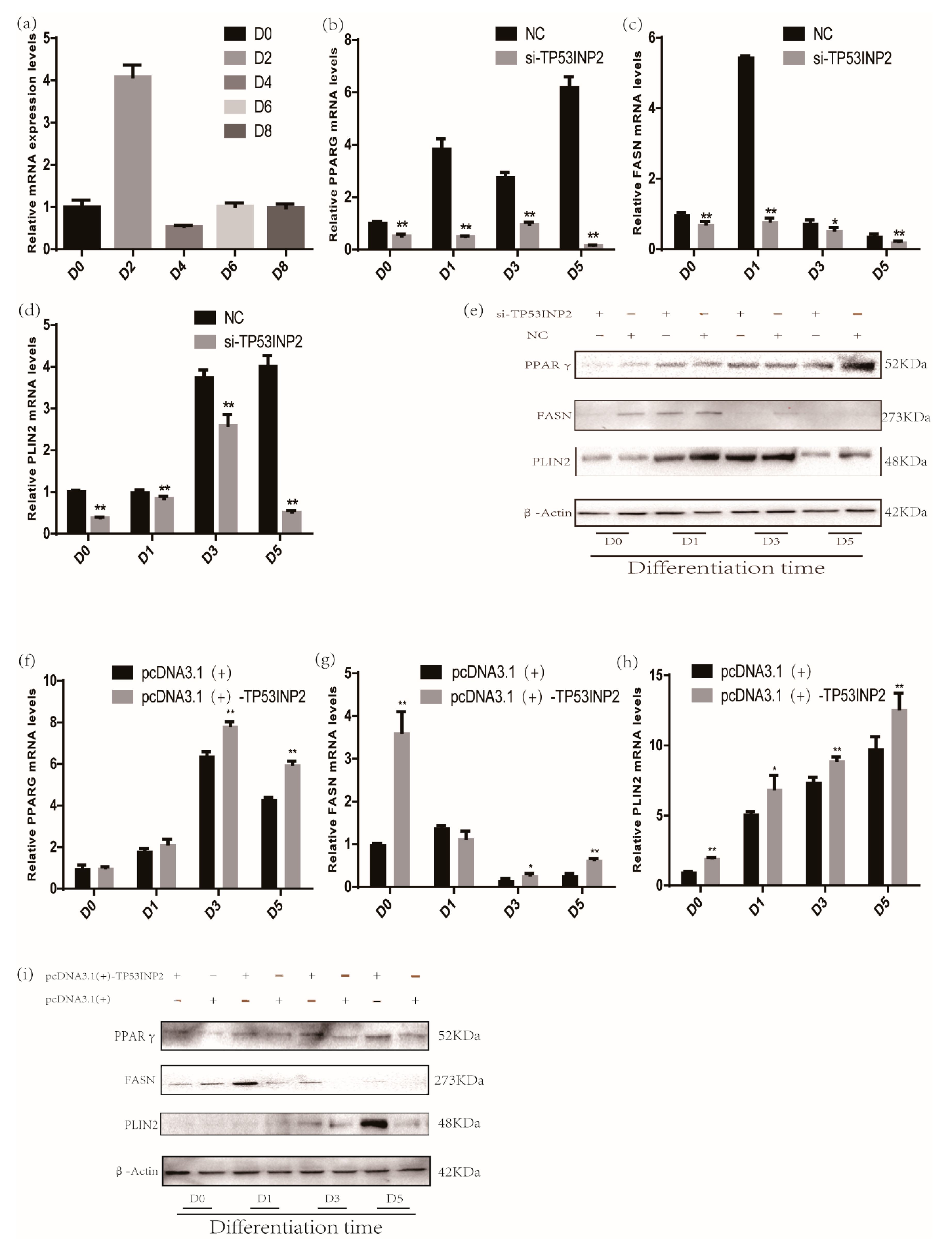 Animals 09 01060 g002 Animals 09 01060 g002