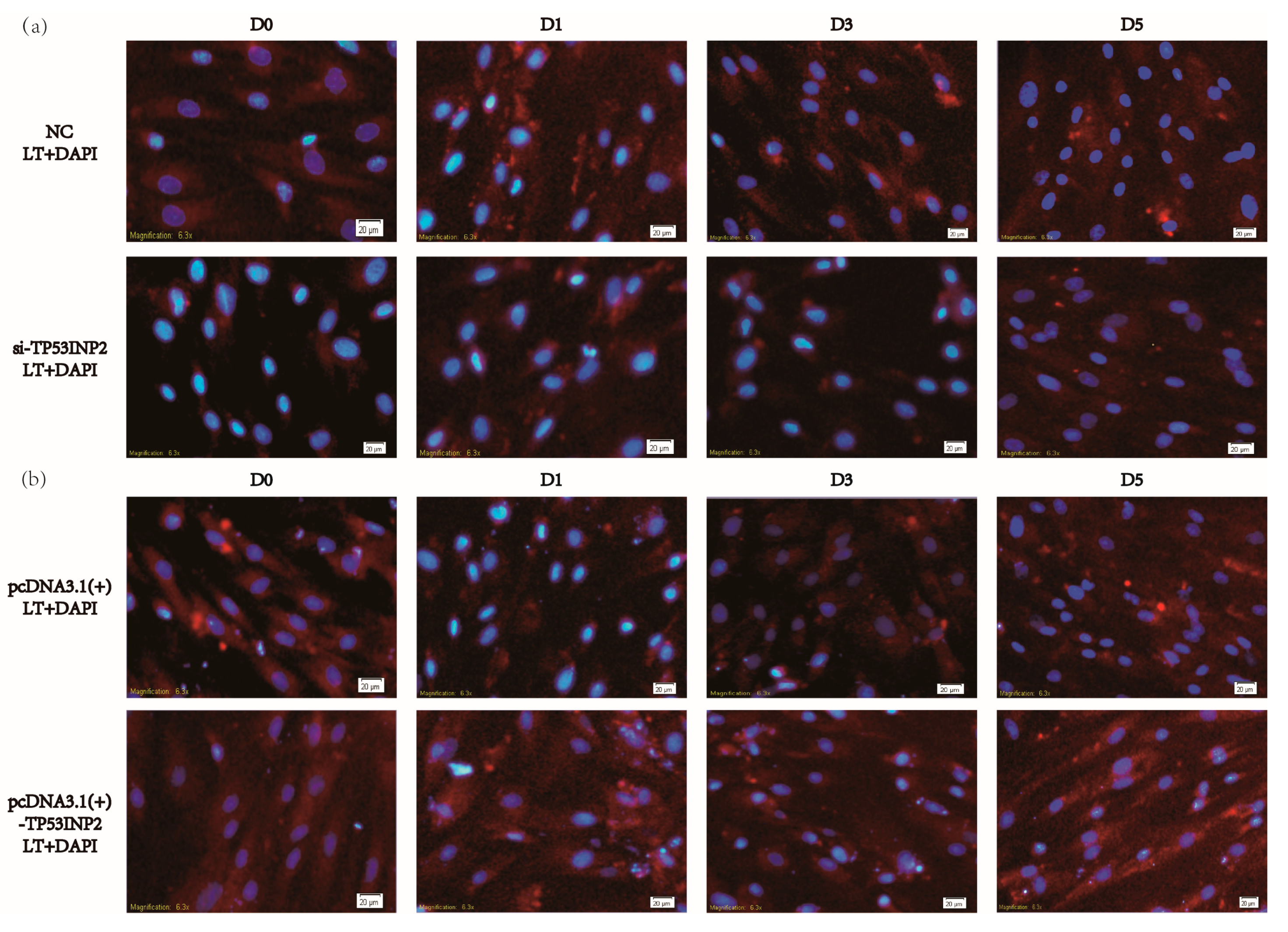 Animals 09 01060 g003 Animals 09 01060 g003