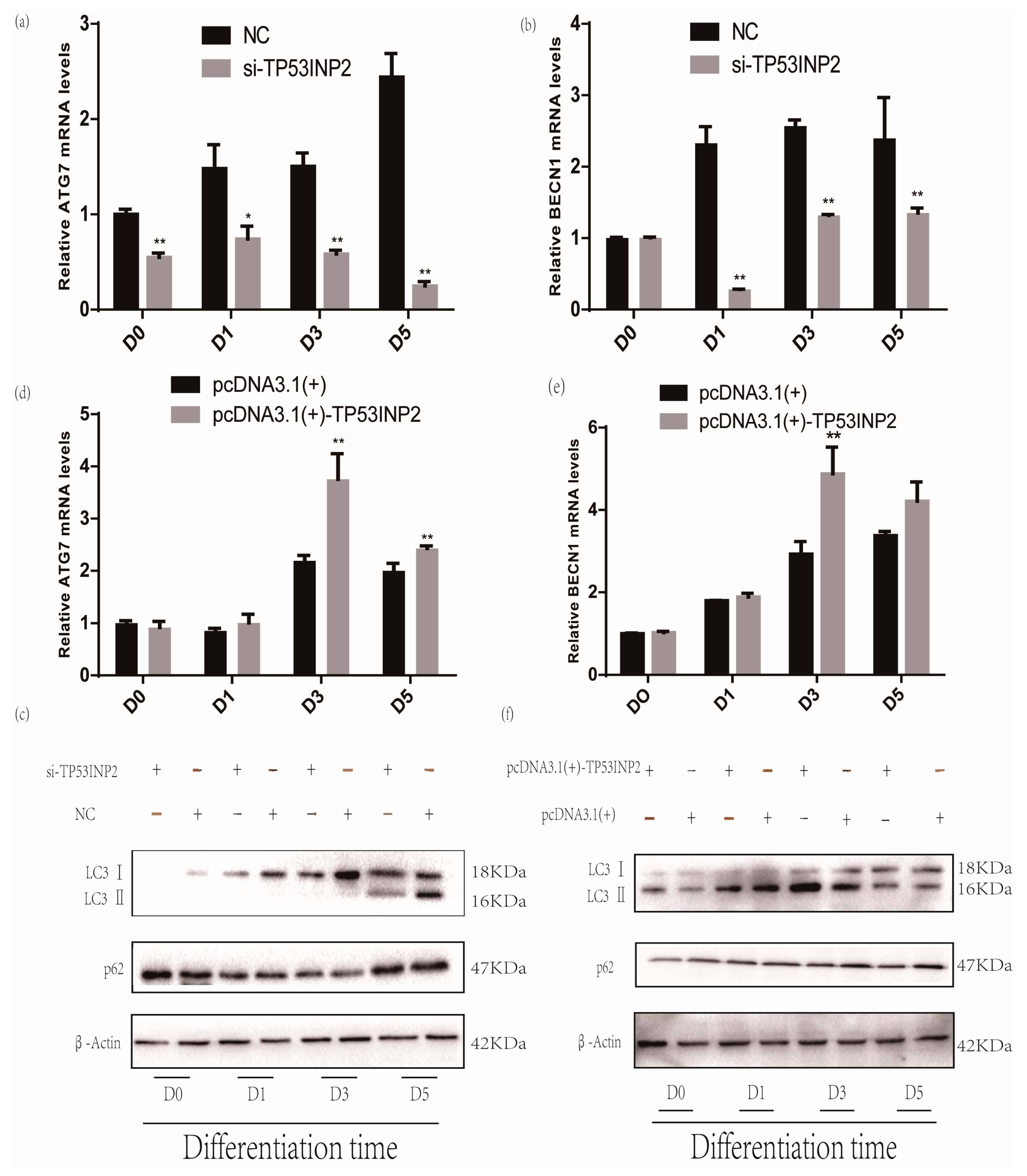 Animals 09 01060 g004 Animals 09 01060 g004