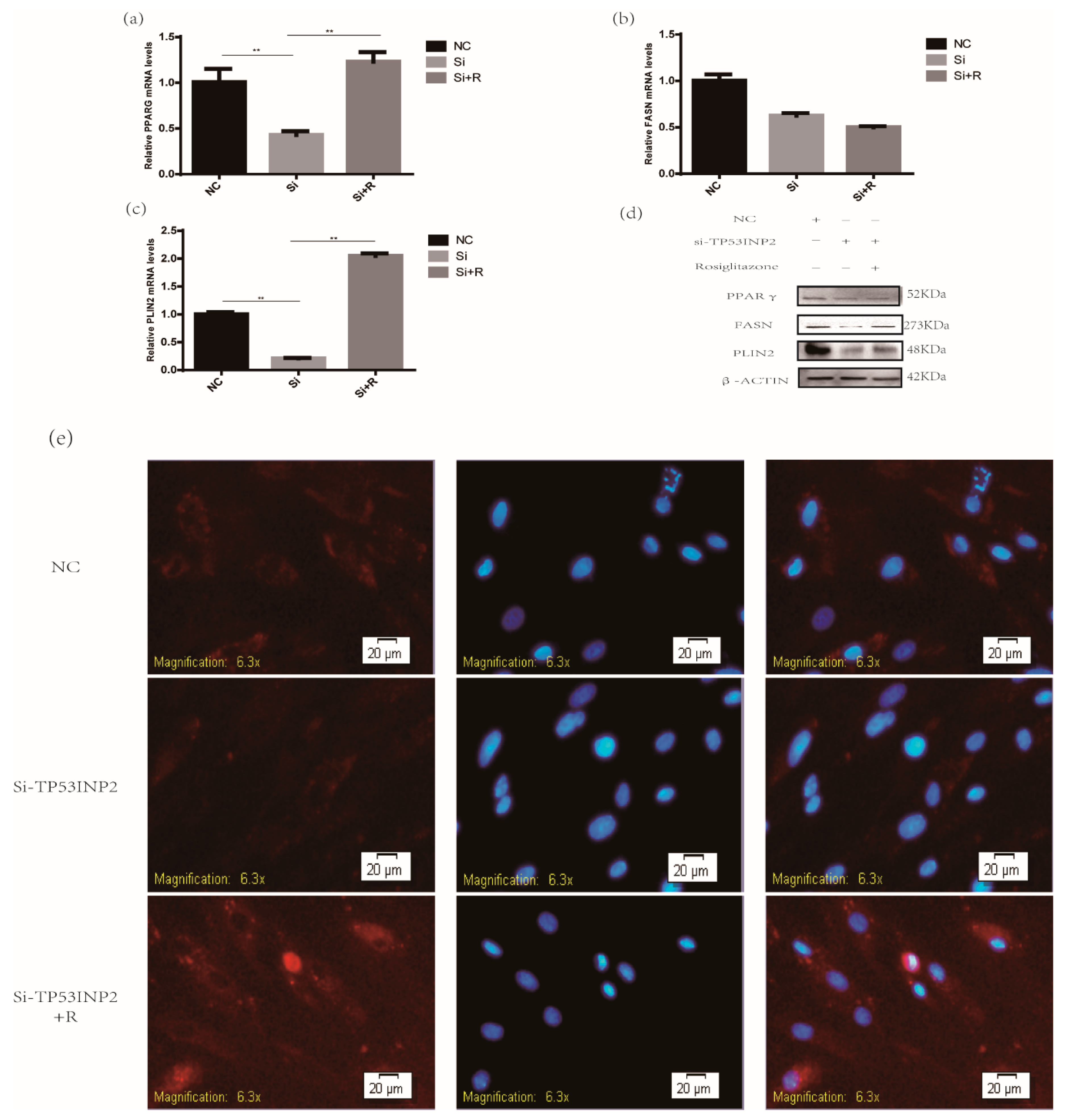 Animals 09 01060 g006 Animals 09 01060 g006