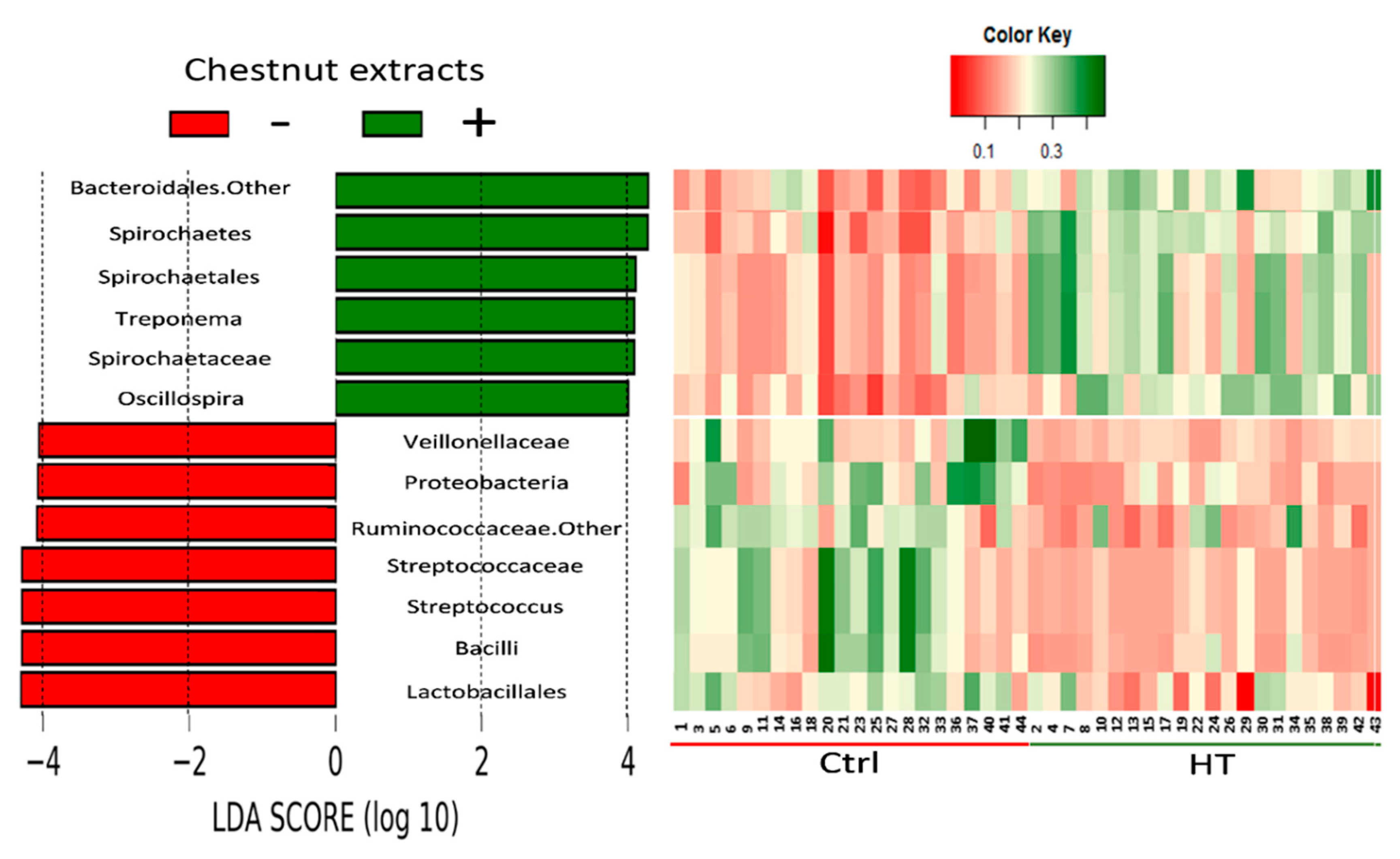 Animals 09 01063 g002