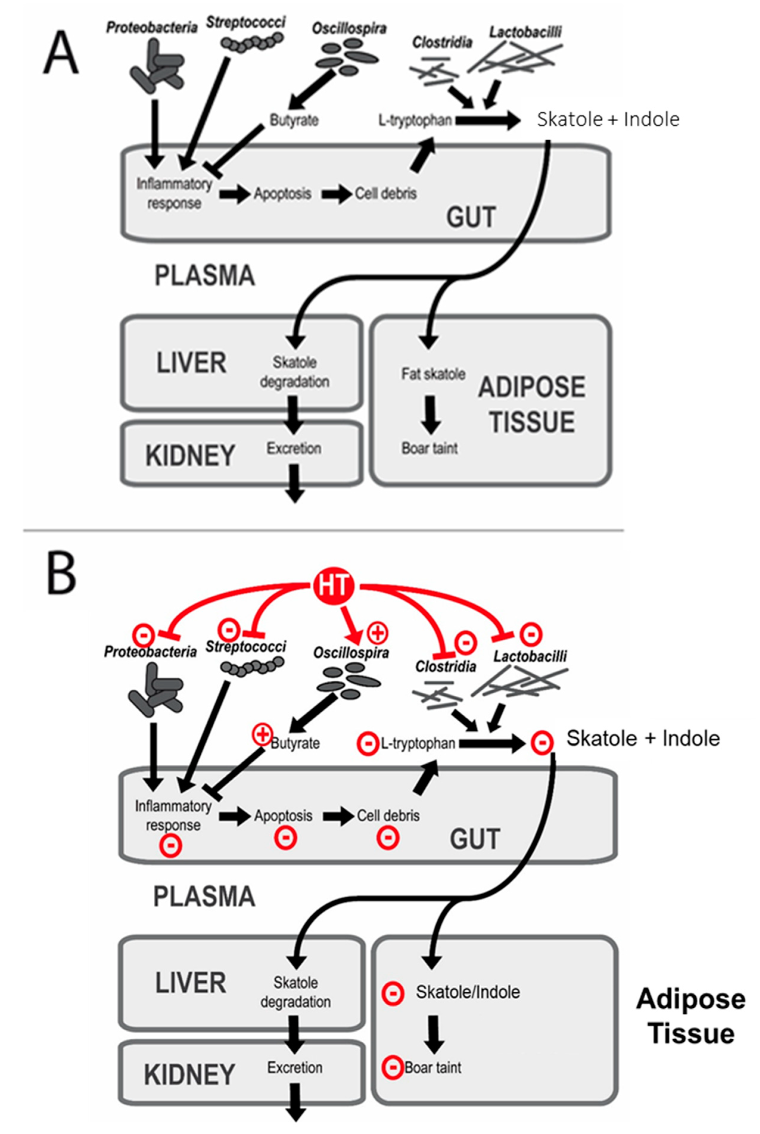 Animals 09 01063 g003