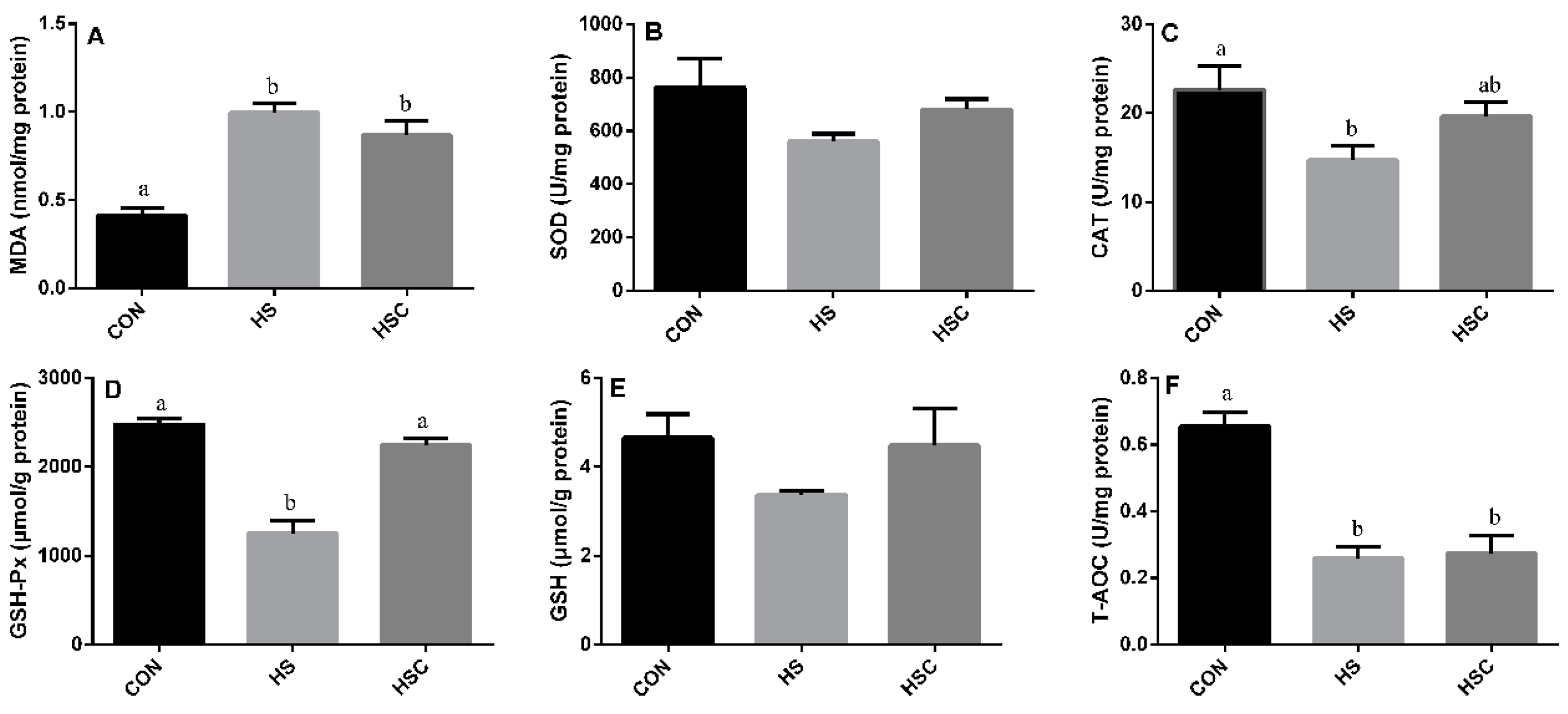 Animals Free Full Text Chitosan Oligosaccharides Protect Sprague Dawley Rats From Cyclic Heat Stress By Attenuation Of Oxidative And Inflammation Stress Html