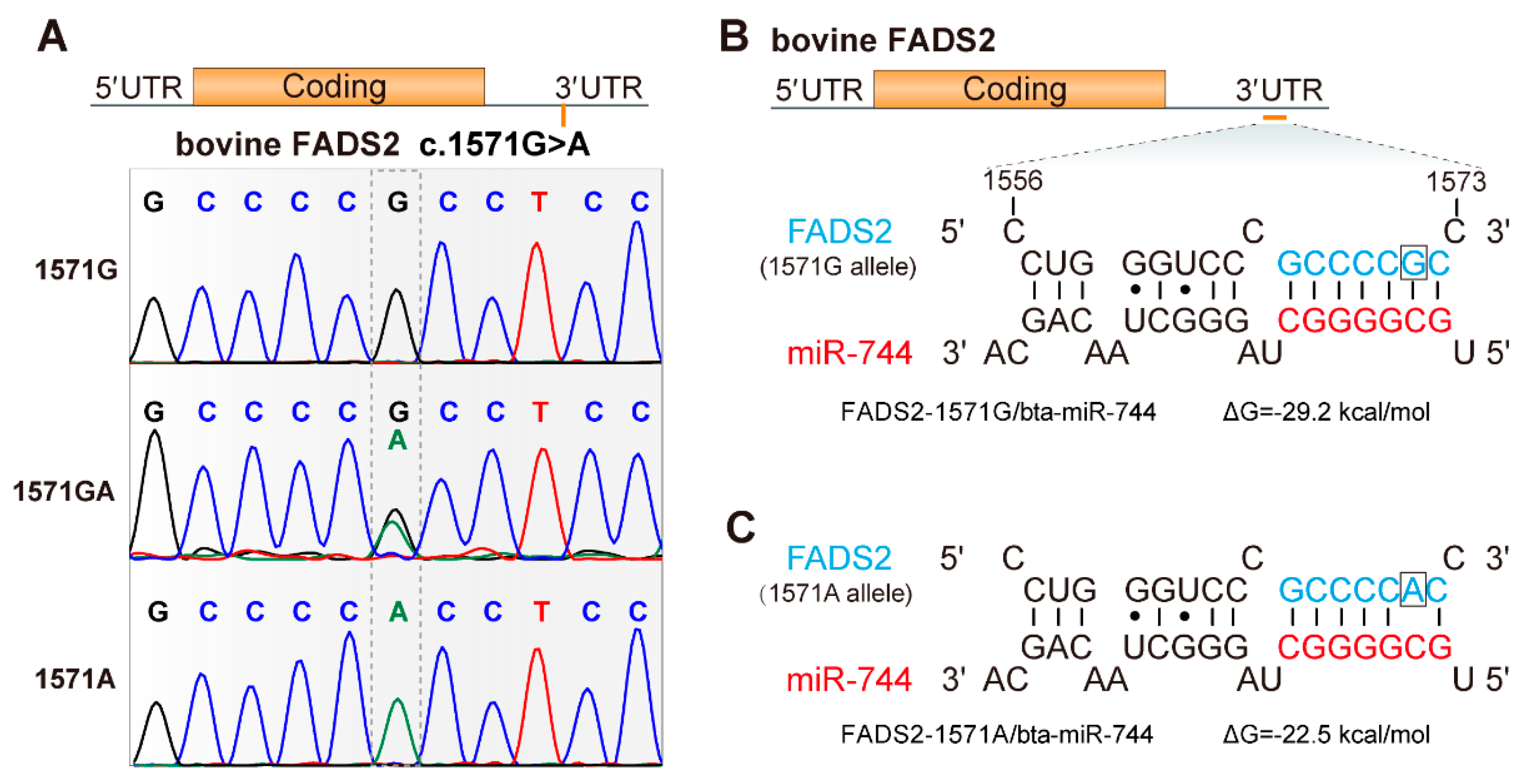 Animals 09 01090 g001