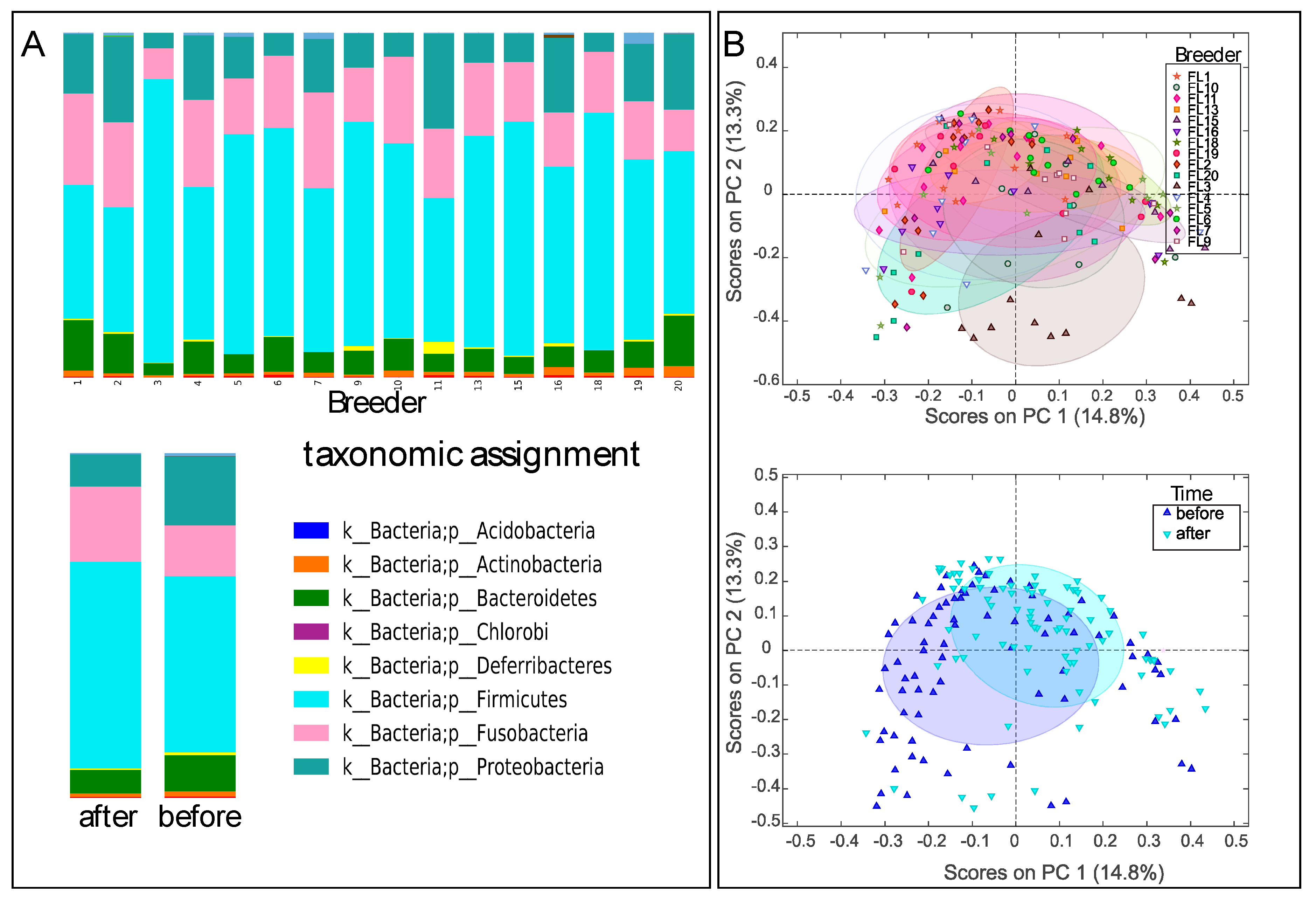 Animals 10 00204 g001