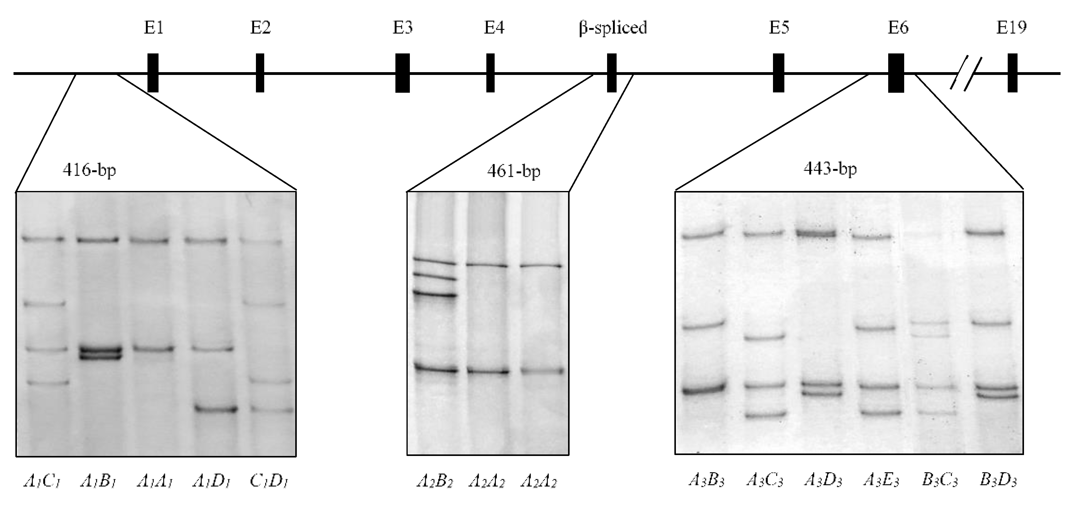 Test SSCP Pdf