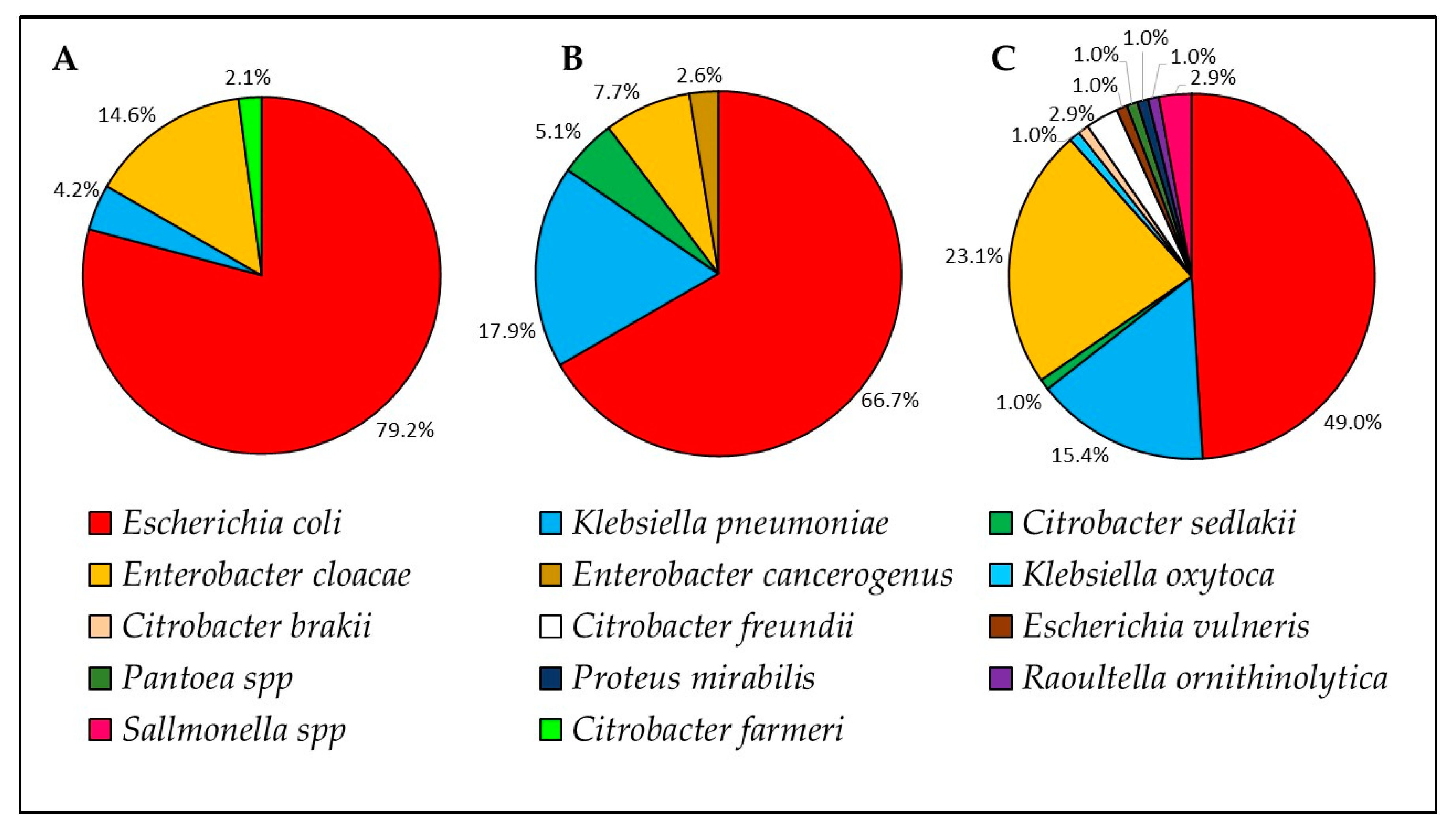Animals 10 00282 g001