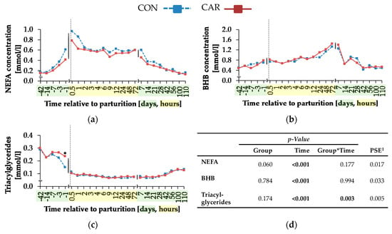 Animals Free Full Text Effects Of A Dietary L Carnitine Supplementation On Performance Energy Metabolism And Recovery From Calving In Dairy Cows Html